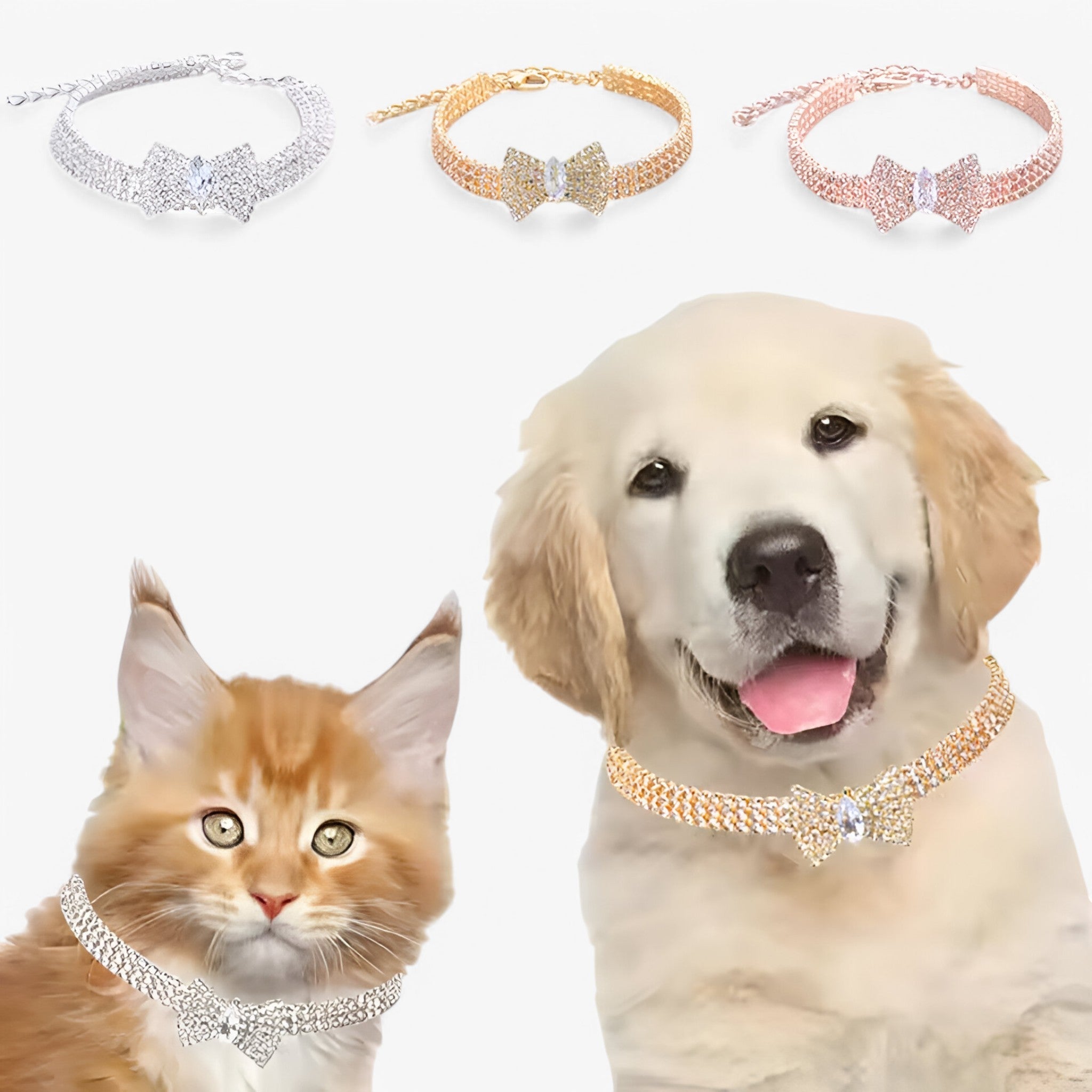 Collare per gatti Bling con fiocco e cristalli Uomo - - bling collare collare gatti cristalli fiocco gatti pets & supplies uomo - Concept Palermo