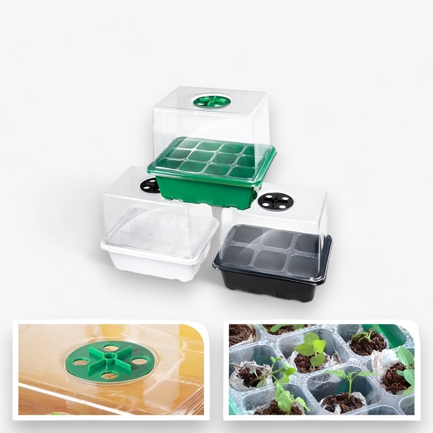 Piastra di partenza con coperchio – per giardinaggio e coltivazione indoor - - coltivazione coperchio giardinaggio home & garden home and garden indoor partenza piastra piastra partenza - Concept Palermo