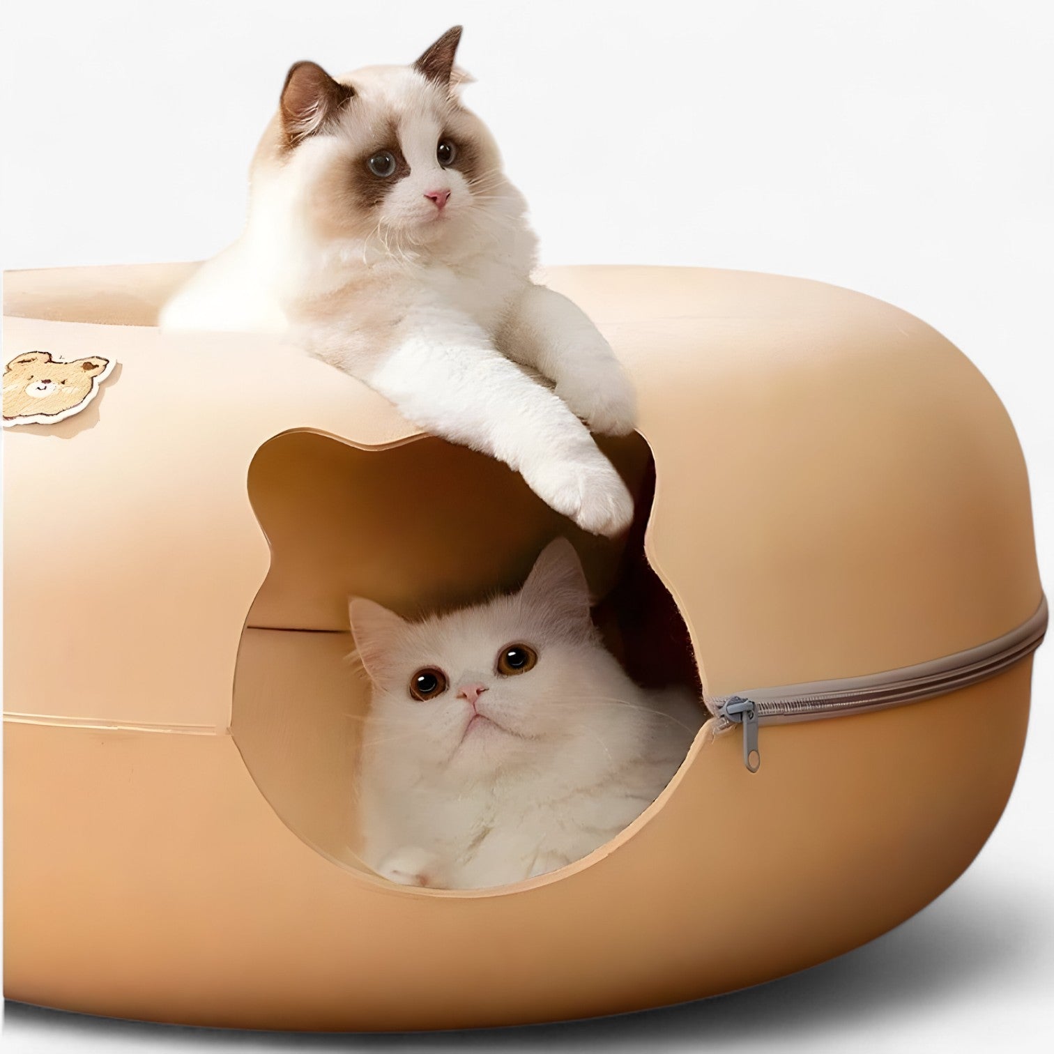 Letto per gatti interattivo schiccoso: giocare, rilassarsi e scoprire - - cat gatti giocare interattivo letto letto gatti pet PET SUPPLIES pets & supplies rilassarsi schiccoso - Concept Palermo