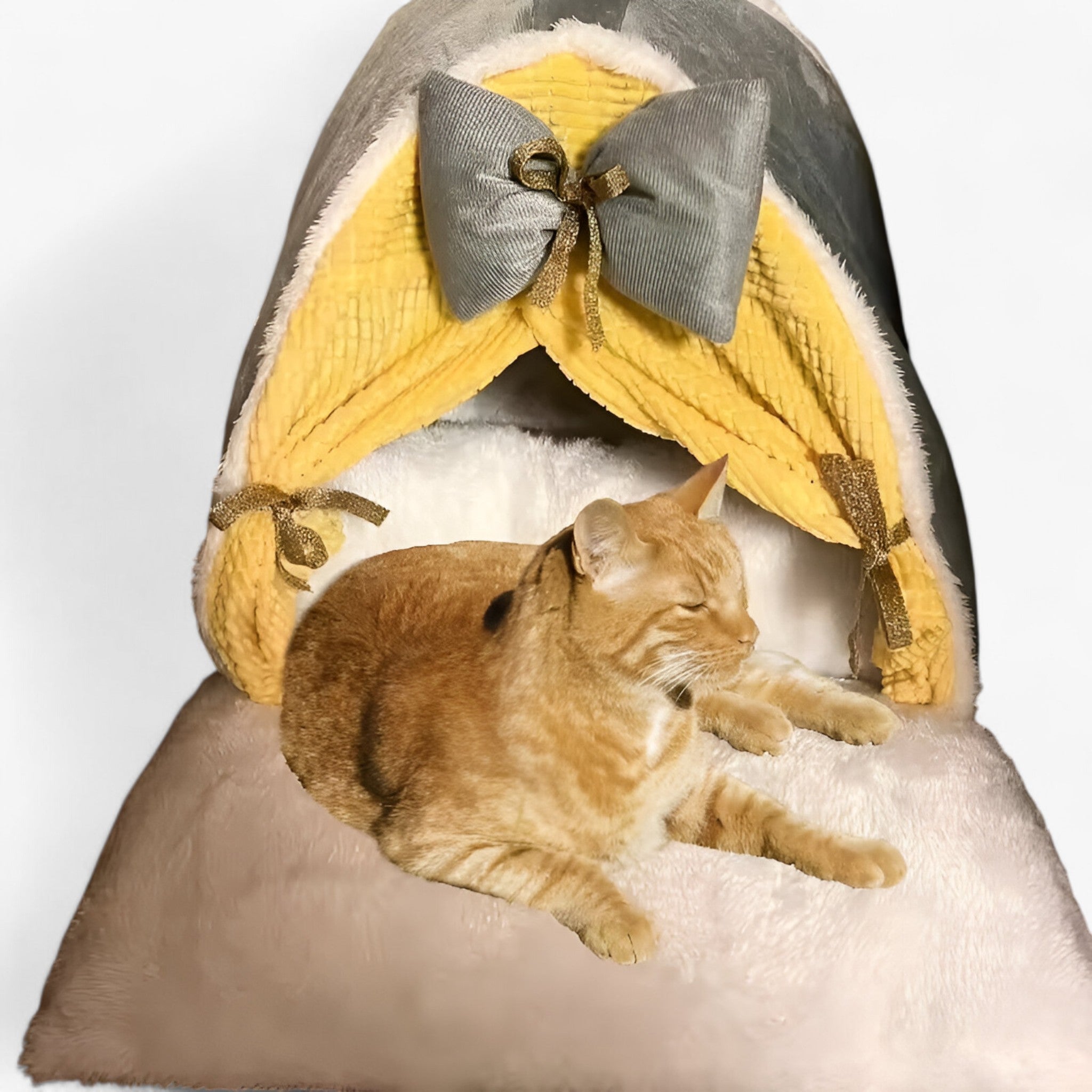 Luxe Teepee per Gatti – Accogliente e Stilosissimo Rifugio Uomo - - accogliente gatti luxe luxe teepee pets & supplies rifugio stilosissimo teepee - Concept Palermo