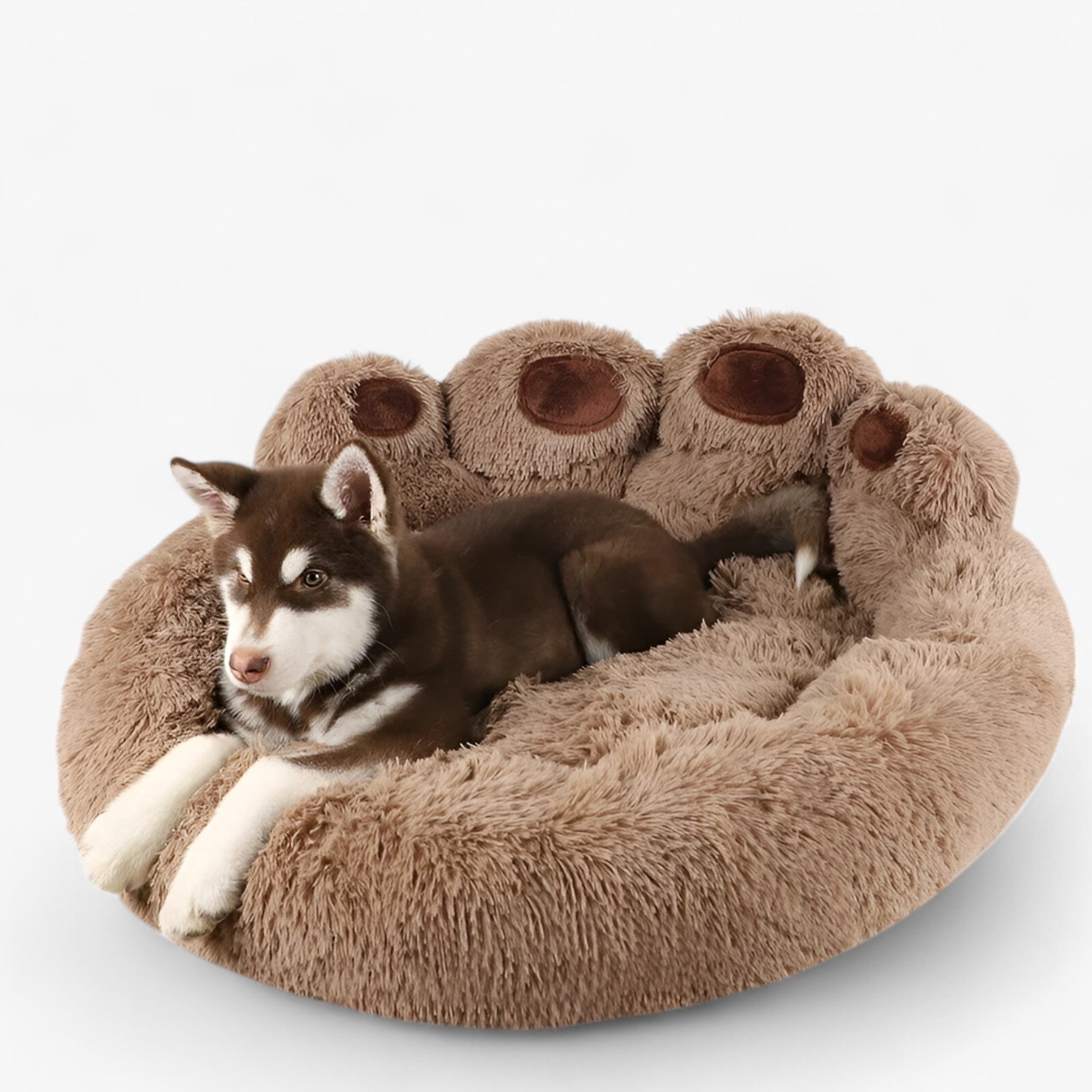 Letto per Cani Peloso e Confortevole - - cani confortevole letto letto cani peloso pets & supplies - Concept Palermo