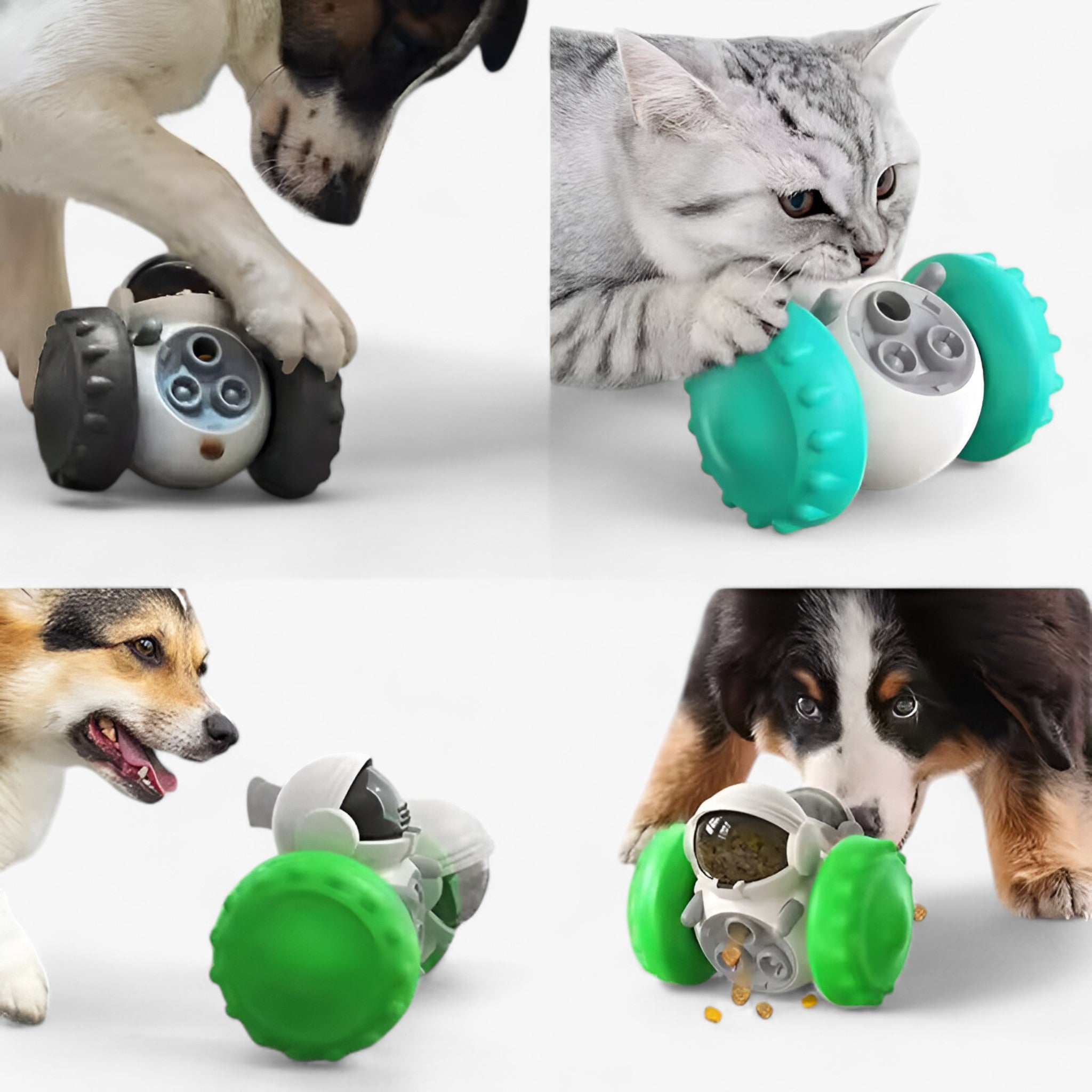 Giocattolo Interattivo per Cani e Gatti con Dispenser di Cibo - - cani cibo dispenser gatti giocattolo giocattolo interattivo interattivo pets & supplies - Concept Palermo
