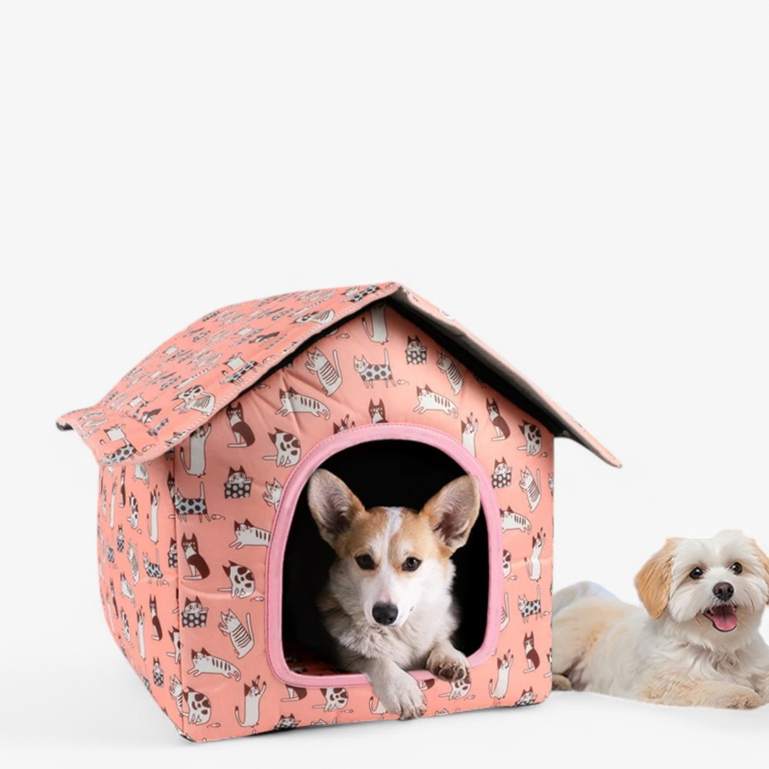 Casetta per gatti impermeabile – Calda e accogliente per esterni Uomo - - accogliente calda casetta casetta gatti dog DOG SUPPLIES esterni gatti impermeabile pets & supplies - Concept Palermo