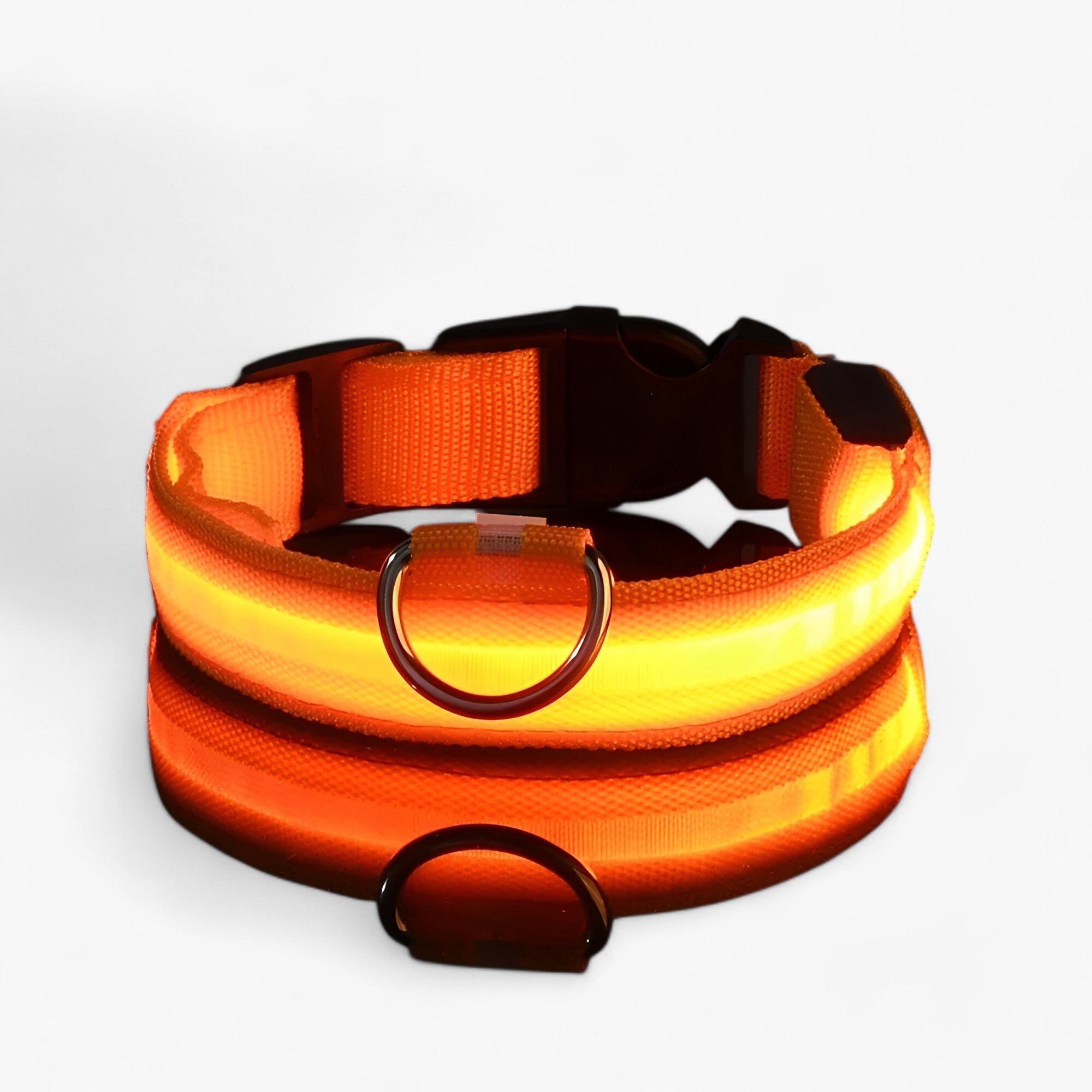 Collare LED per Cani Sicuro - Visibile al Buio - Arancione - buio cani collare collare cani Dog Collar DOG SUPPLIES Pet supplies pets & supplies sicuro visibile - Concept Palermo