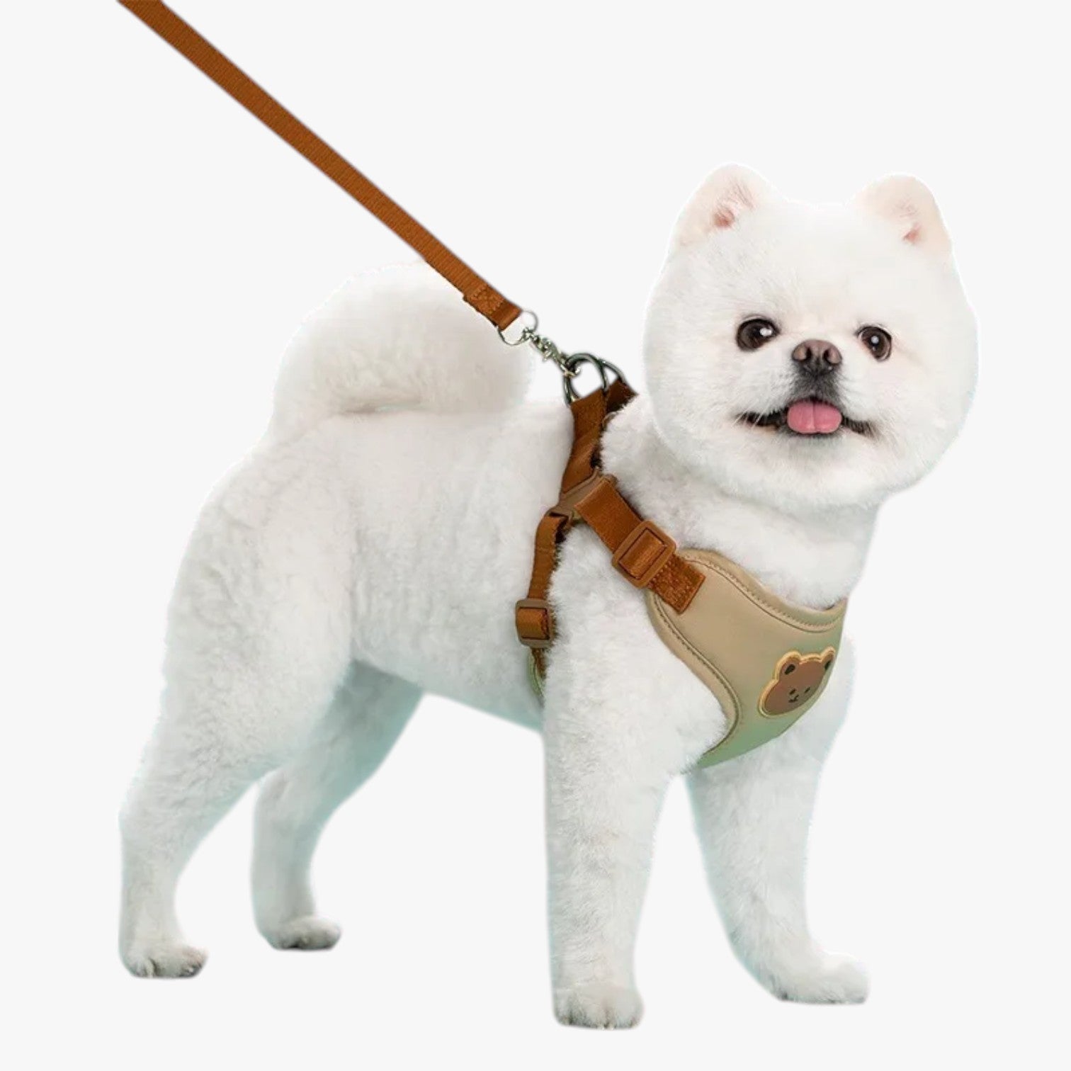 Pettorina Traspirante con Guinzaglio per Piccoli Animali - - animali guinzaglio pet petproduct Pets pets & supplies pettorina pettorina traspirante piccoli traspirante - Concept Palermo