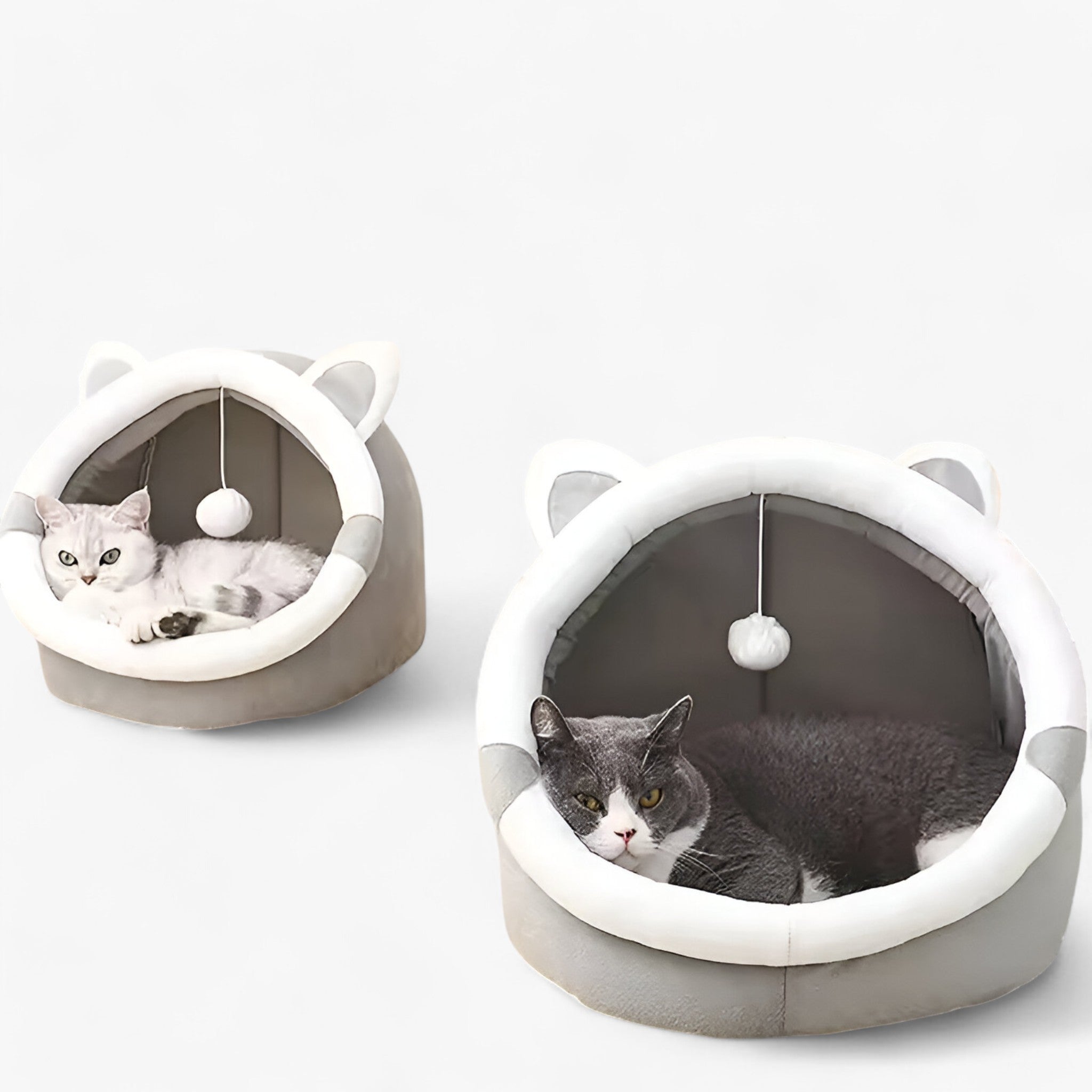 Letto per Gatti Knus e Caldo – Comfort per Tutte le Stagioni Uomo - - caldo comfort gatti knus letto letto gatti pets & supplies stagioni - Concept Palermo