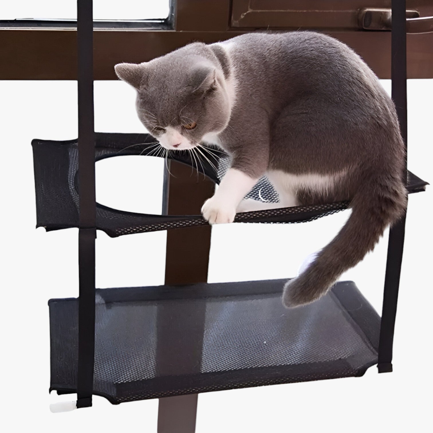 Lettiera per gatti Sunny Window - - gatti lettiera lettiera gatti pet PET SUPPLIES petproduct Pets pets & supplies sunny window - Concept Palermo