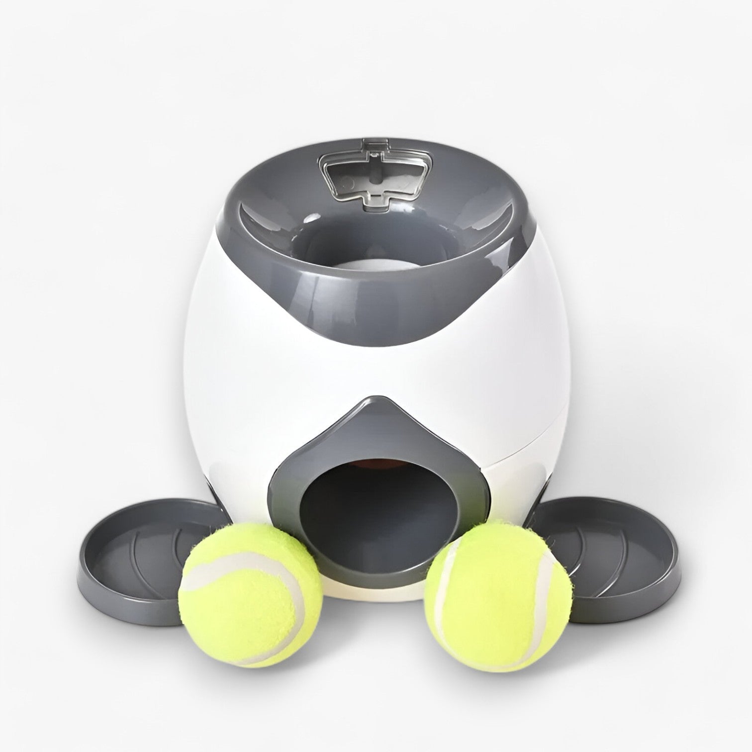 Distributore Intelligente di Tennis e Snack per Cani Uomo - - cani distributore distributore intelligente intelligente pet pet accessories PET SUPPLIES pets & supplies snack tennis uomo - Concept Palermo