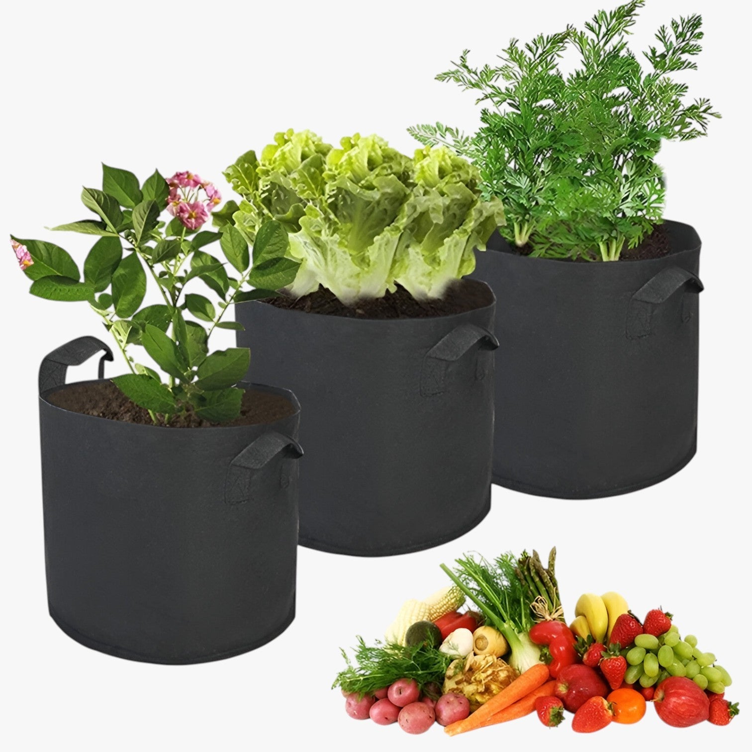 Sacco di coltivazione salvaspazio – Piante sane, facili da coltivare - - coltivare coltivazione facili Garden Garden supplies Home & Garden piante sacco sacco coltivazione salvaspazio - Concept Palermo