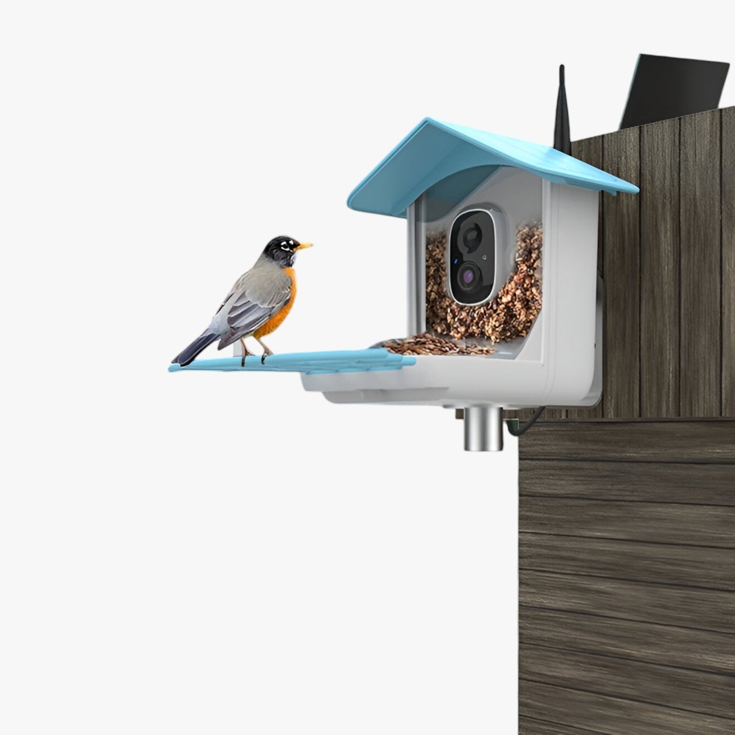 Sicurezza e Piacere per gli Uccelli – Telecamera solare con mangiatoia per uccelli - - camera gadget gadgets mangiatoia piacere sicurezza sicurezza piacere solare telecamera uccelli - Concept Palermo