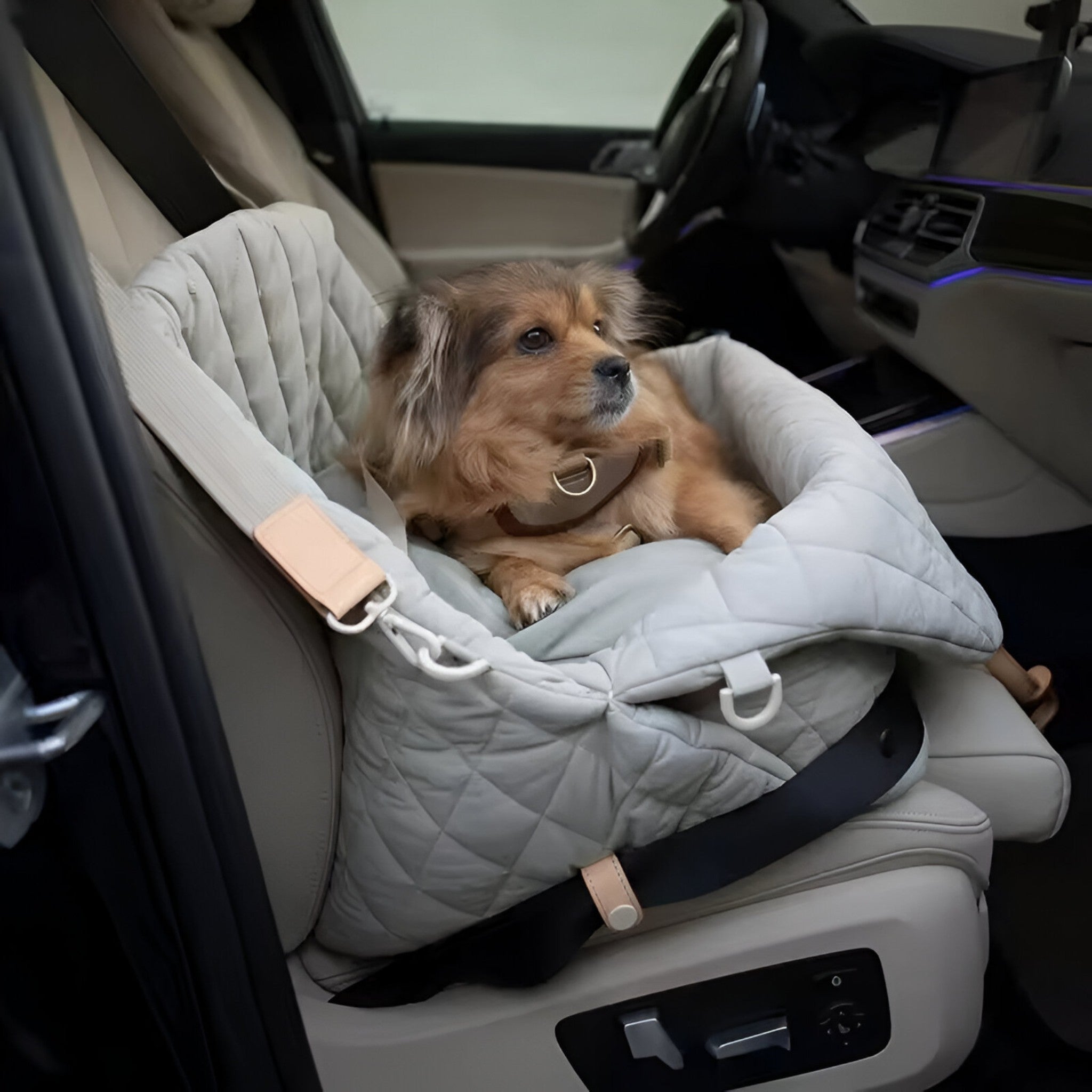 Seggiolino Auto Sicuro e Confortevole per Cani Piccoli, Trasportino Viaggio - - auto cani confortevole pets & supplies piccoli porta porta auto sicuro - Concept Palermo