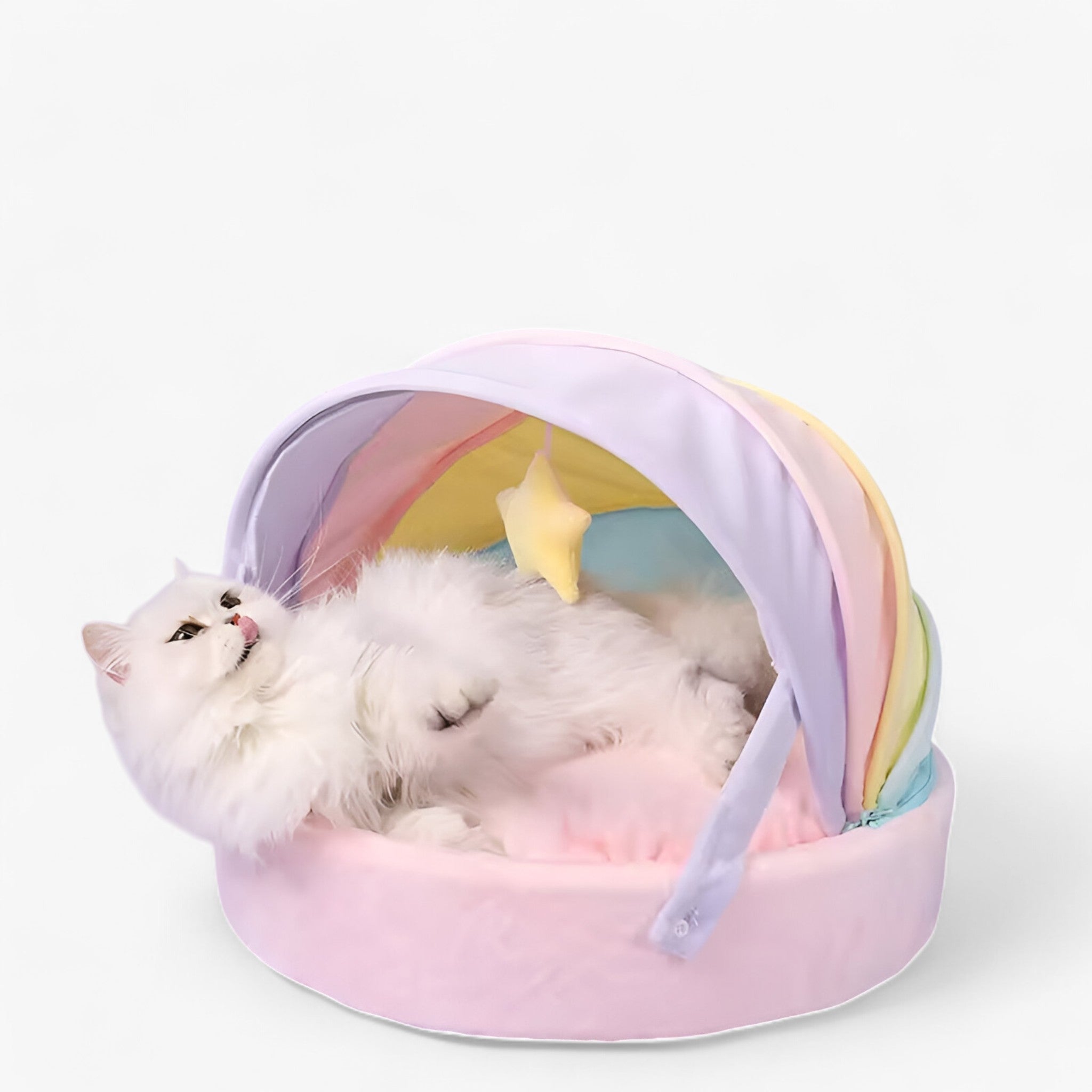 Casa per Gatti Rainbow - Comfort e Calore per il Tuo Animale Domestico - - animale calore casa casa gatti comfort domestico gatti pets & supplies - Concept Palermo