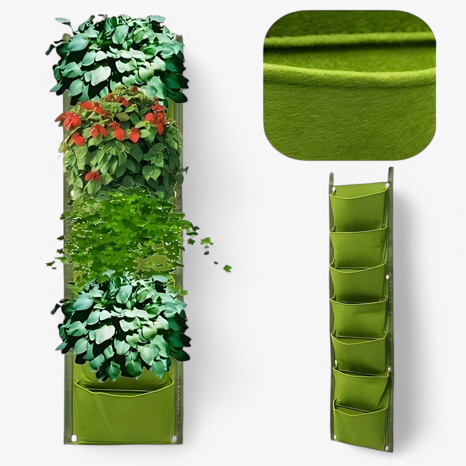 7 compartimenti per una crescita sana Verde - - compartimenti compartimenti crescita crescita Garden Garden supplies Gardening Home & Garden sana - Concept Palermo