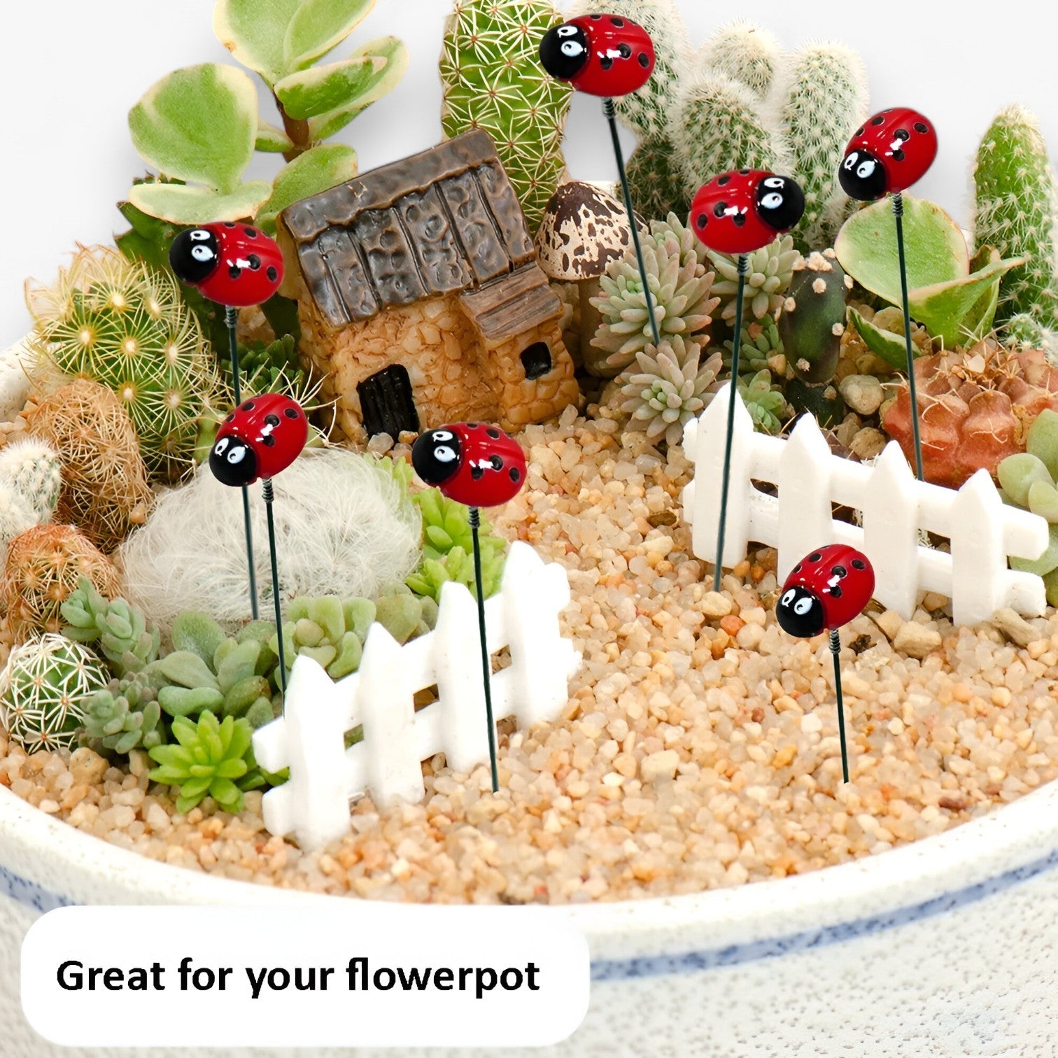 Stecche da Giardino a forma di Coccinella - - coccinella forma garden Garden accessories Garden supplies giardino Home & Garden stecche stecche giardino - Concept Palermo