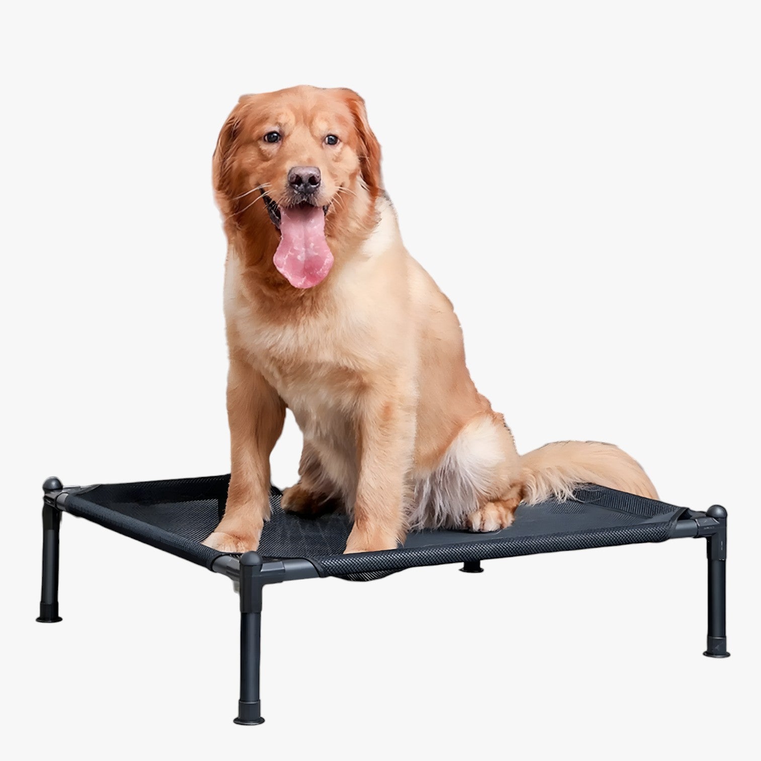 Letto portatile per animali domestici da esterno, pieghevole, lavabile e comodo da portare in viaggio - - animali domestici esterno lavabile letto letto portatile pet pet beds PET SUPPLIES petproduct Pets pets & supplies pieghevole - Concept Palermo