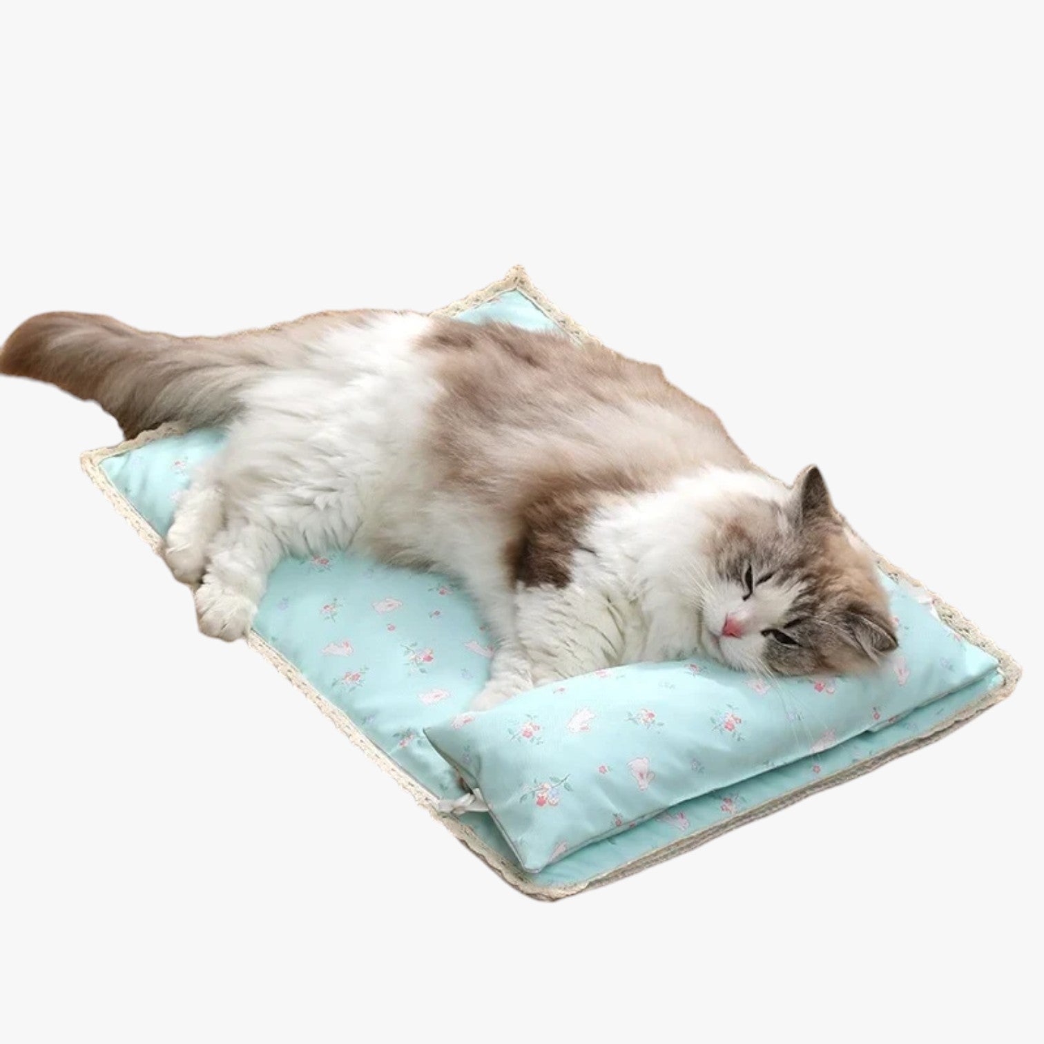 Coperta Estiva Rinfrescante per Gatti e Cani Uomo - - cani coperta coperta estiva estiva gatti pet pet bed pet beds pet's bed petproduct pets & supplies rinfrescante uomo - Concept Palermo