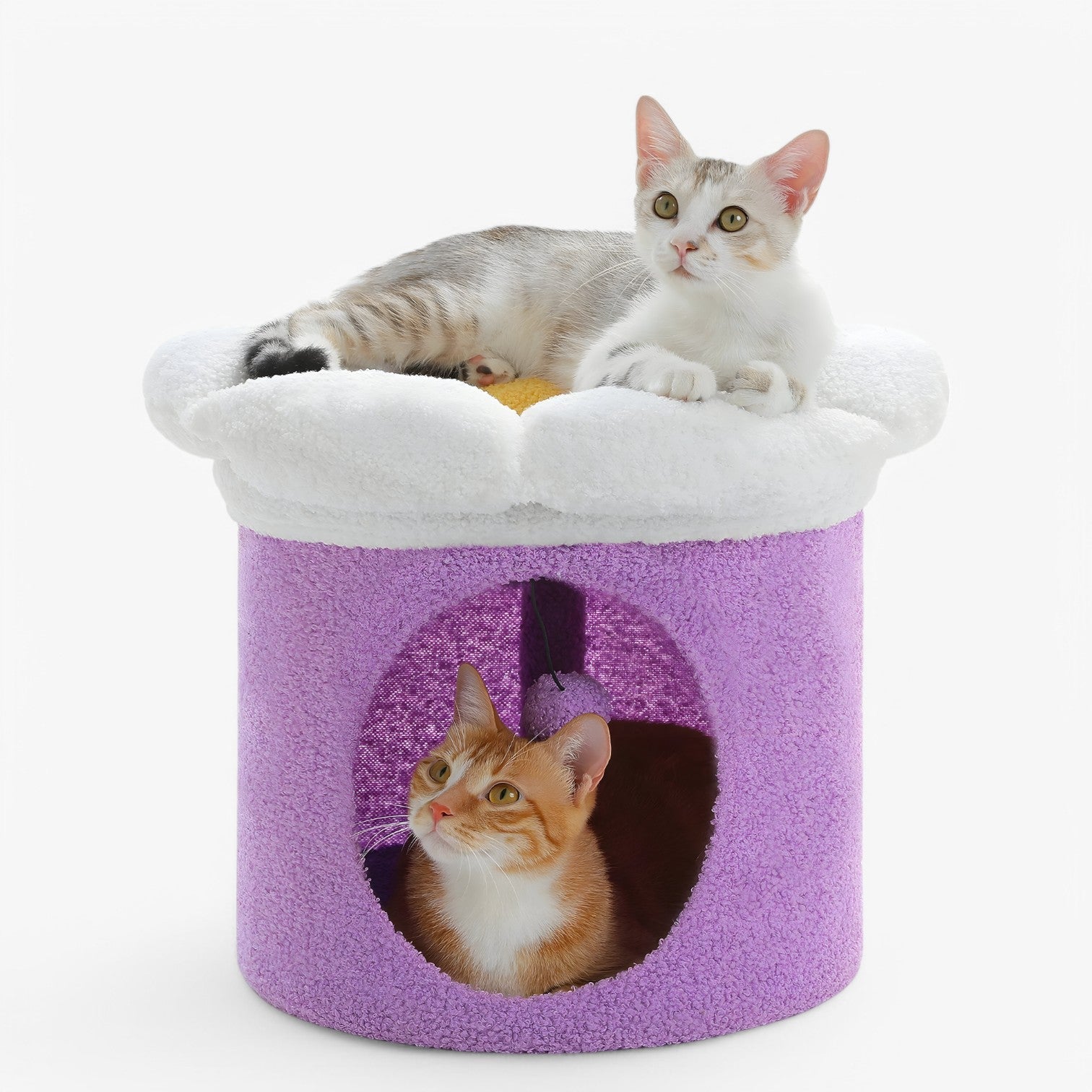 Rifugio per gatti carino con letto a fiori removibile - - carino cats fiori gatti letto pet PET SUPPLIES pets & supplies removibile rifugio rifugio gatti - Concept Palermo