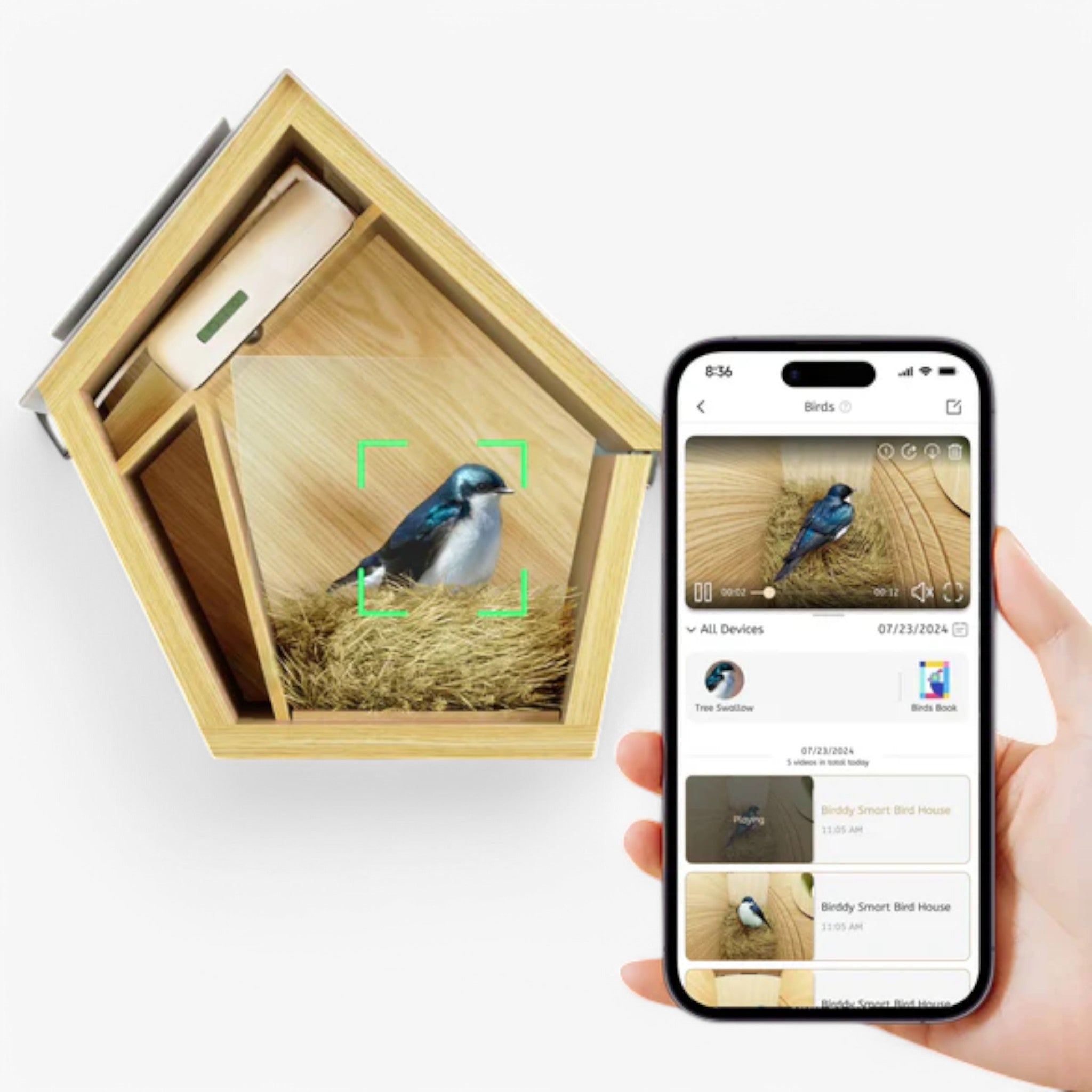 Casetta per Uccelli Slim con Tecnologia Avanzata Uomo - - avanzata bird house birdproduct casetta casetta uccelli pets & supplies slim tecnologia uccelli uomo - Concept Palermo