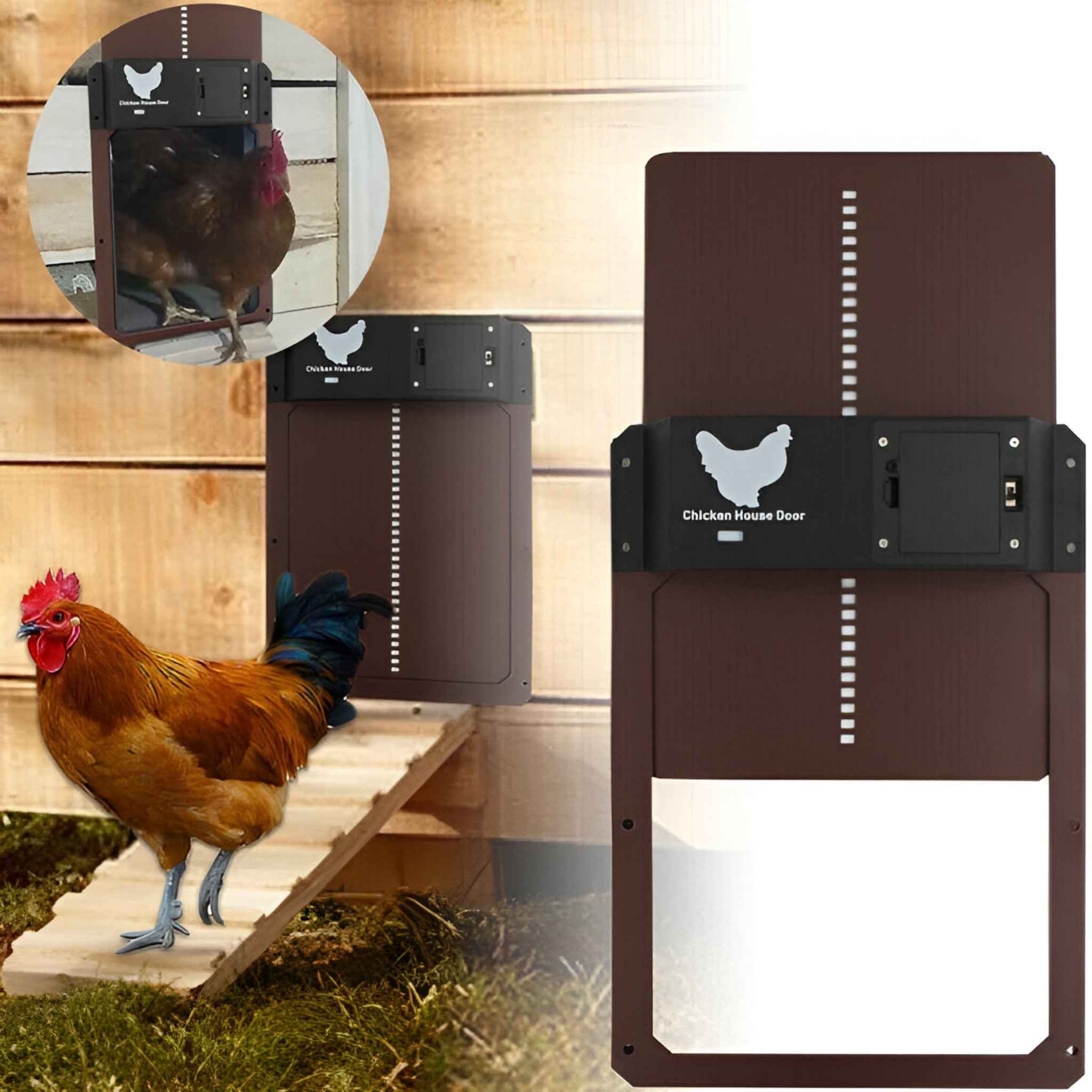 Porta Automatica Solare PRO+ per Pollaio - Sensori Luce & Timer Intelligente - - automatique capteurs cross-from-marche-lino-15830711664989 crépusculaire minuterie New-google new_for_google ouverture porte porte poulailler poulailler - Concept Palermo