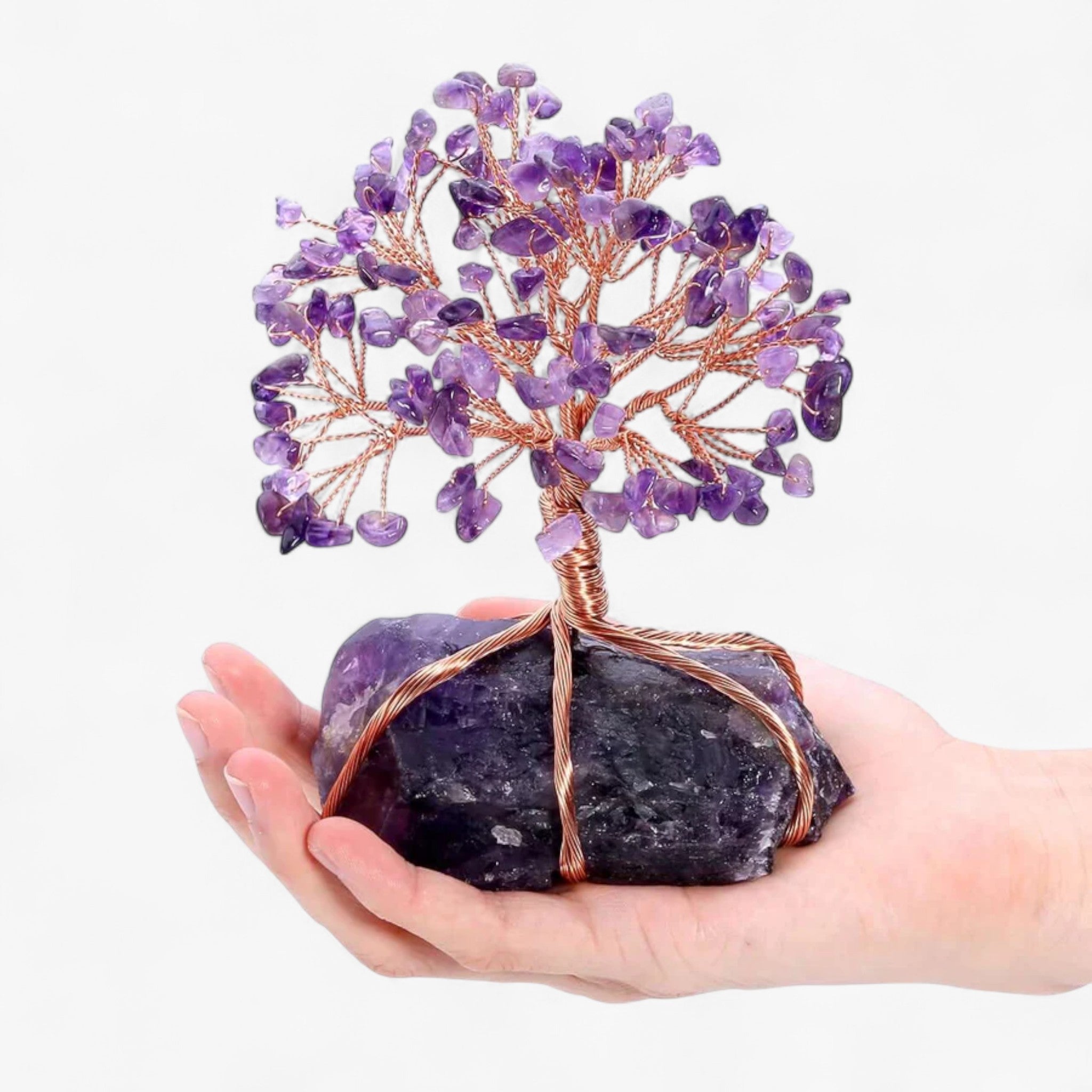 Decorazioni Bonsai Feng Shui Uomo - - bonsai bonsai decoration Decoration decorazioni decorazioni bonsai feng feng shui home & garden shui uomo - Concept Palermo