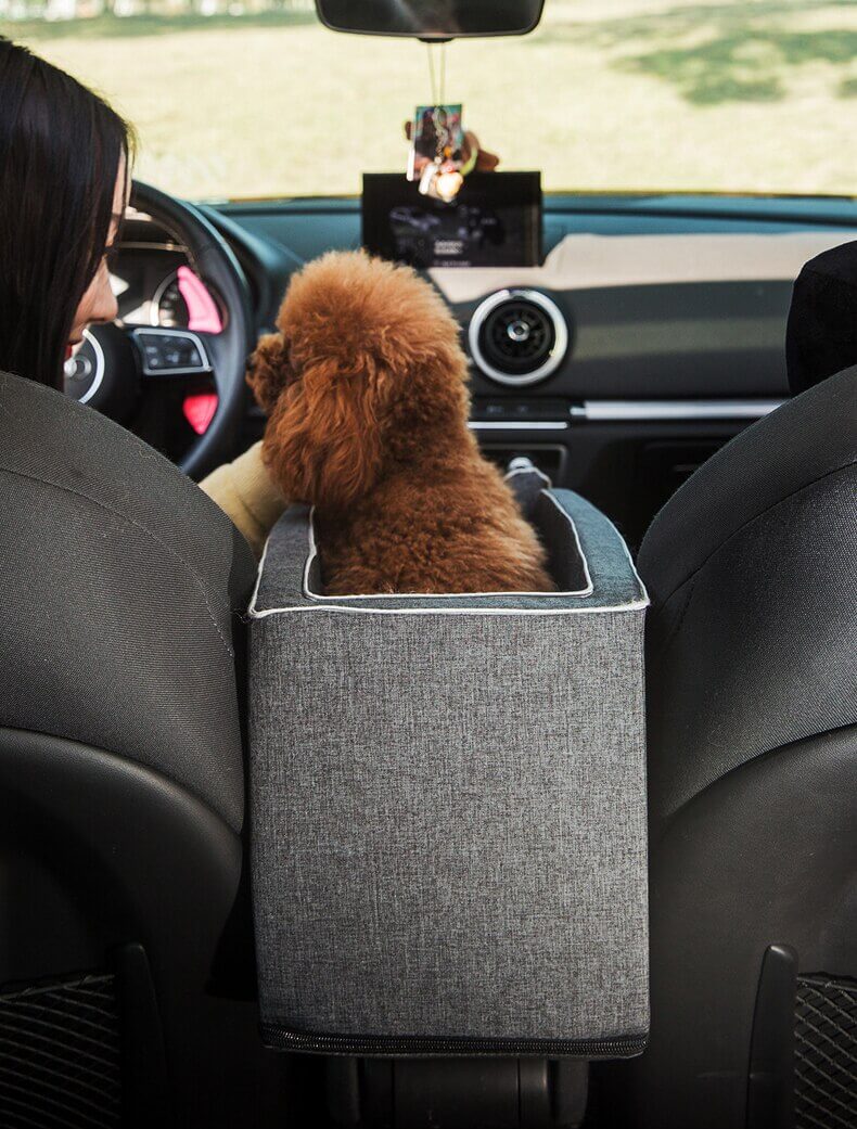 Seggiolino auto portatile per animali domestici - - animali auto Autotechniek Autotoebehoren Dieren Dierenaccessoires domestici Huisdierbenodigdheden Huisdieren Huisdierverzorging pets & supplies portatile seggiolino seggiolino auto Voertuig - Concept Palermo