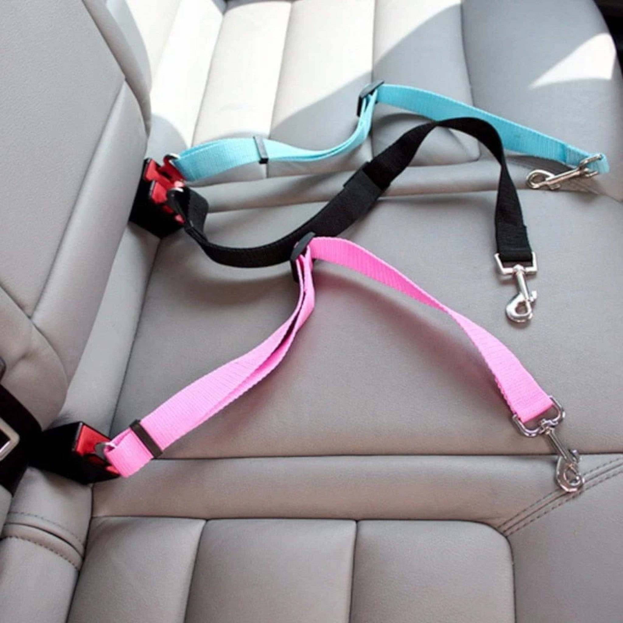 Cintura di sicurezza per cani Anche il tuo quadrupede ora si trova al sicuro in auto Uomo - - auto cani car seatbelt cintura cintura sicurezza dog car seatbelt pets & supplies quadrupede sicurezza sicuro - Concept Palermo