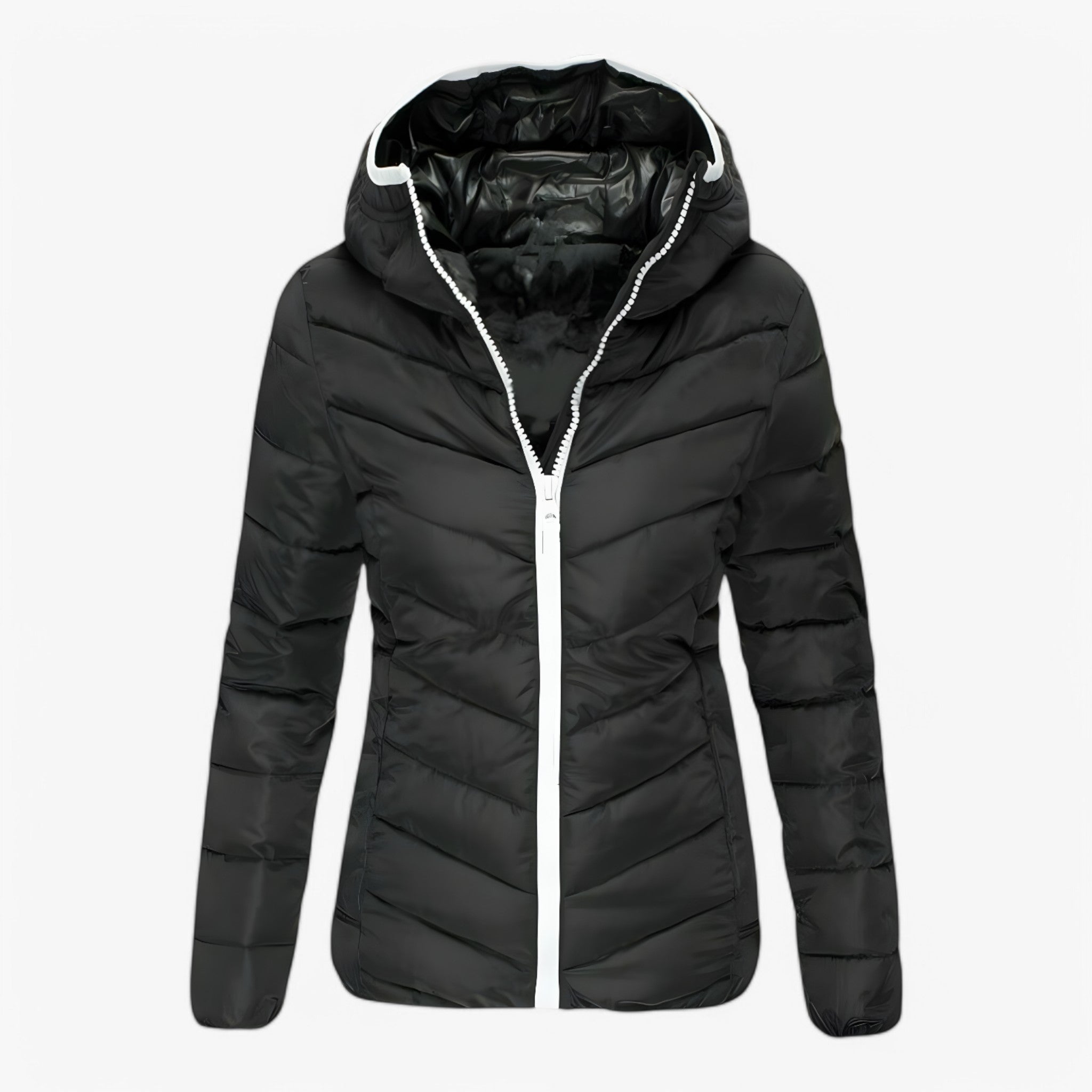 Giubbotto Imbottito Moderno - - giubbotto giubbotto imbottito imbottito women's coats & jackets - Concept Palermo