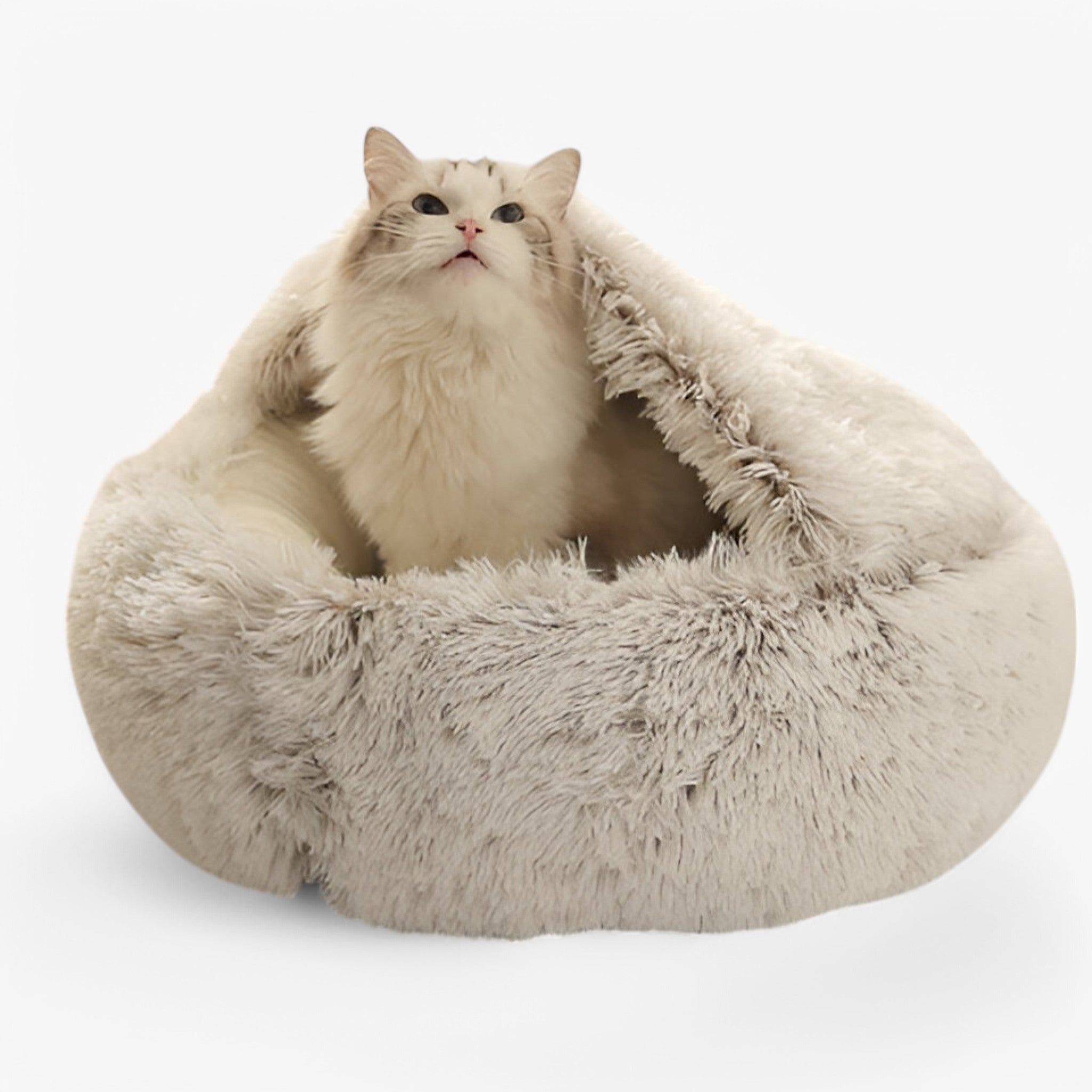 Letto per animali domestici Uomo - - animali domestici letto letto animali Old (Google) old_google pets & supplies uomo - Concept Palermo
