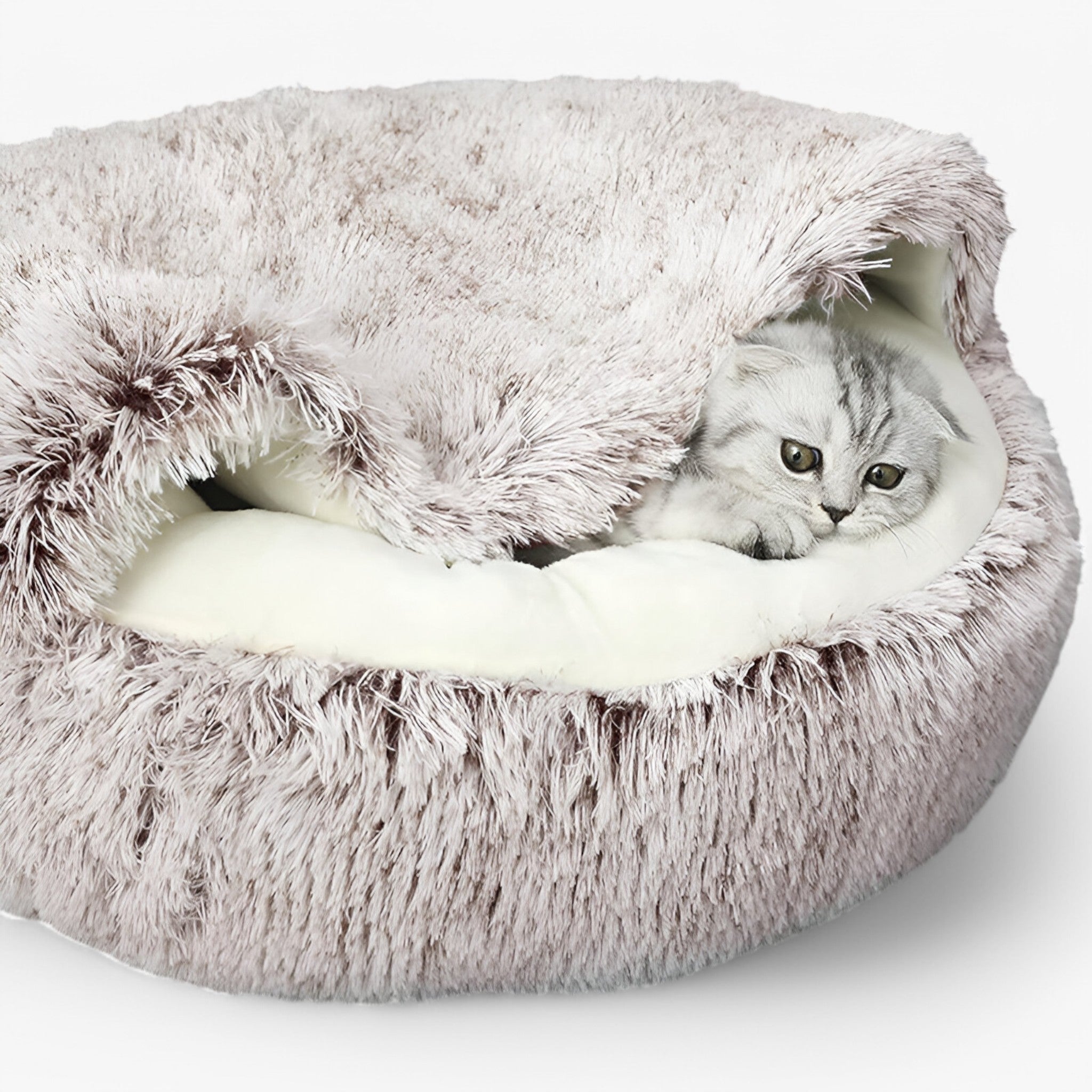 Letto per animali domestici Uomo - - animali domestici letto letto animali Old (Google) old_google pets & supplies uomo - Concept Palermo