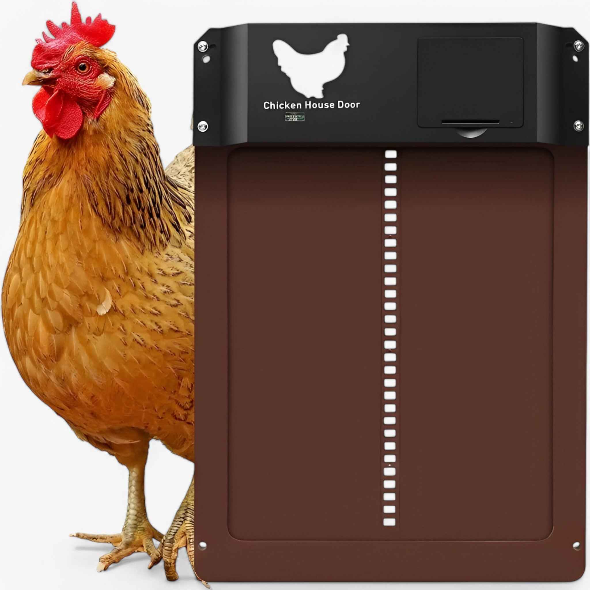Porta Automatica Solare PRO+ per Pollaio - Sensori Luce & Timer Intelligente - - automatique capteurs cross-from-marche-lino-15830711664989 crépusculaire minuterie New-google new_for_google ouverture porte porte poulailler poulailler - Concept Palermo