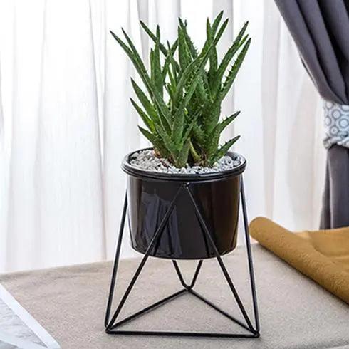 Vaso di fiori in ceramica con supporto in ferro Moderna fioriera per piante d'aria e succulente - - aria ceramica Ceramics Decor ferro fiori fioriera Flowerpots home & garden moderna piante - Concept Palermo