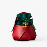 Kerstcadeautas voor appels voor dames