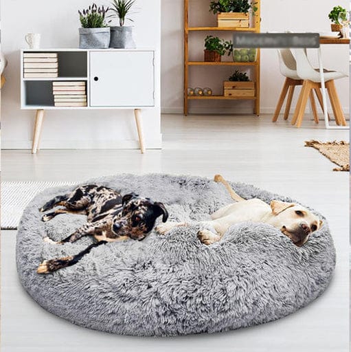 Letto Matrimoniale Moderno con Rete Traspirante, Design Arioso e Rilassante - - 30% korting all arioso Dierenbenodigdheden letto letto arioso new_for_google_may Pets pets & supplies rilassante uomo - Concept Palermo