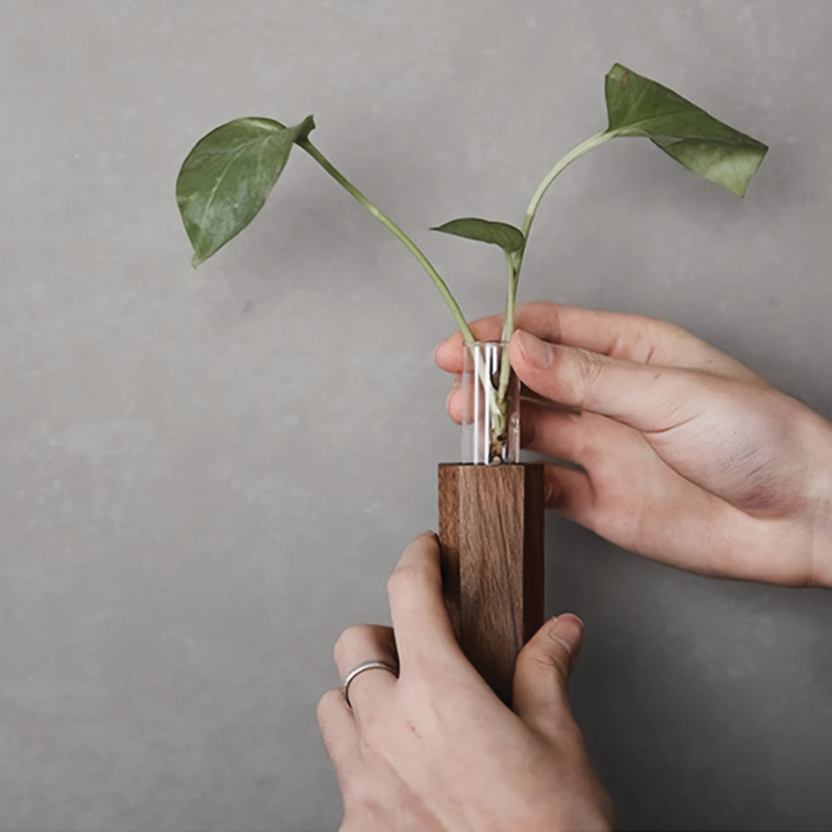 Vasi a Flute Verticali per Fiori da Parete Stile di Decorazione con Piante - - Decor decorazione fiori flute home & garden parete piante stile Vases vasi Wall decoration - Concept Palermo
