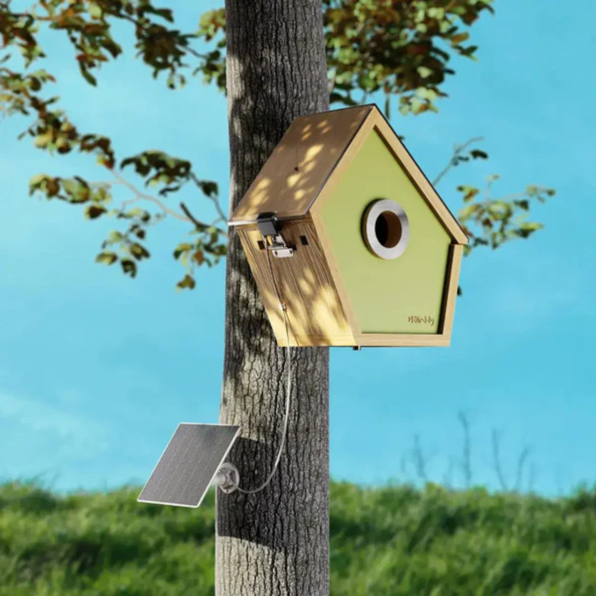 Casetta per Uccelli Slim con Tecnologia Avanzata Uomo - - avanzata bird house birdproduct casetta casetta uccelli pets & supplies slim tecnologia uccelli uomo - Concept Palermo