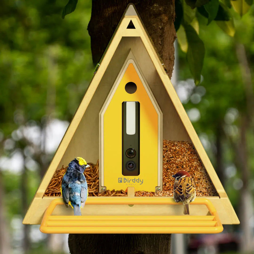 Reli Birddy Slim Feeder GreenTough™ Mangiatore per Uccelli Slim con Design Sostenibile Verde Uomo - - bird feeder birddy birdproduct design feeder greentough mangiatore petproduct pets & supplies reli reli birddy - Concept Palermo