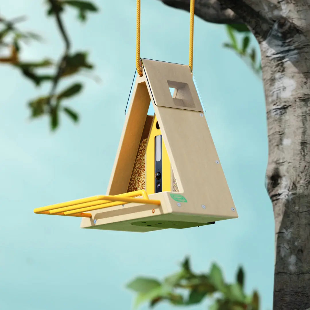 Reli Birddy Slim Feeder GreenTough™ Mangiatore per Uccelli Slim con Design Sostenibile Verde Uomo - - bird feeder birddy birdproduct design feeder greentough mangiatore petproduct pets & supplies reli reli birddy - Concept Palermo