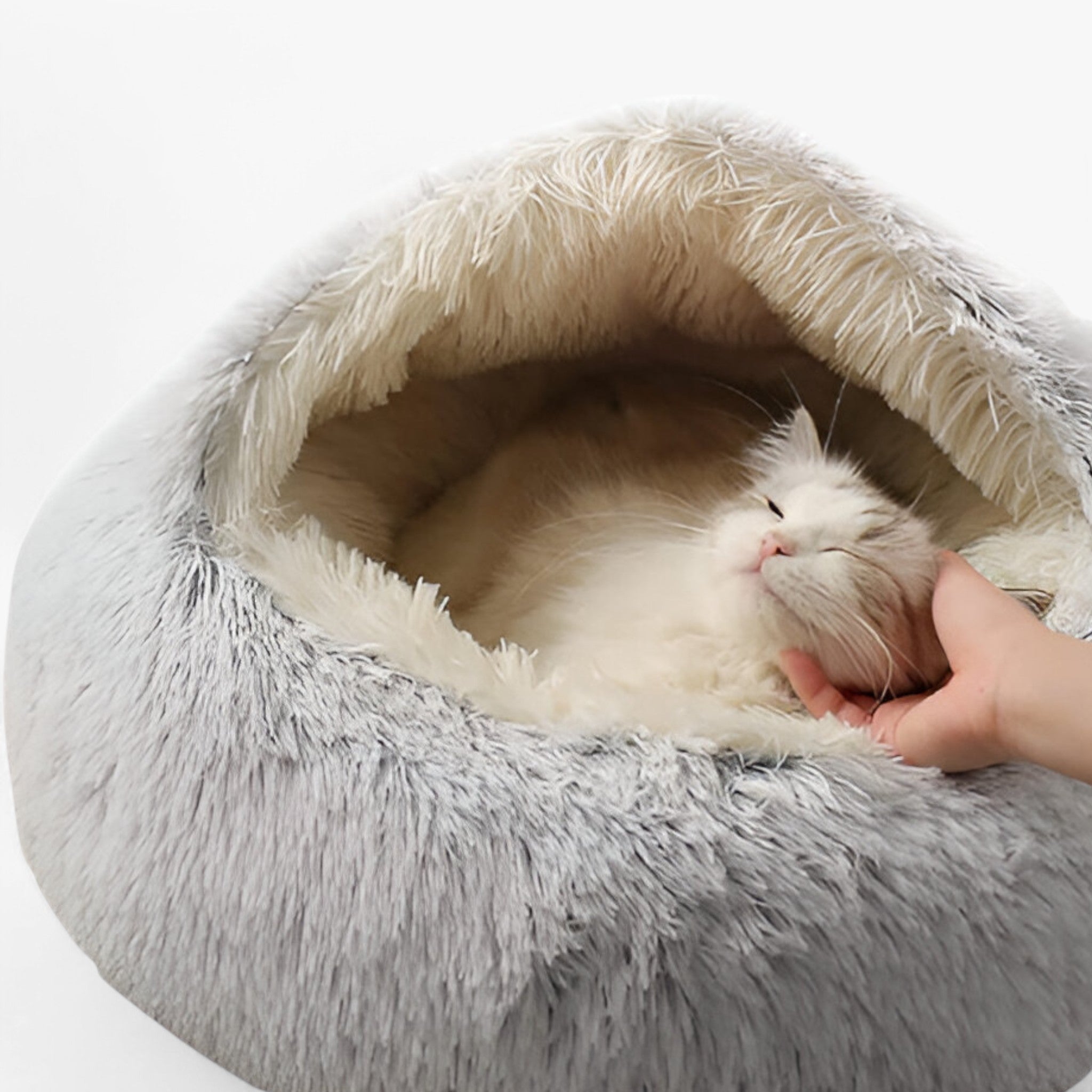 Letto per animali domestici Uomo - - animali domestici letto letto animali Old (Google) old_google pets & supplies uomo - Concept Palermo