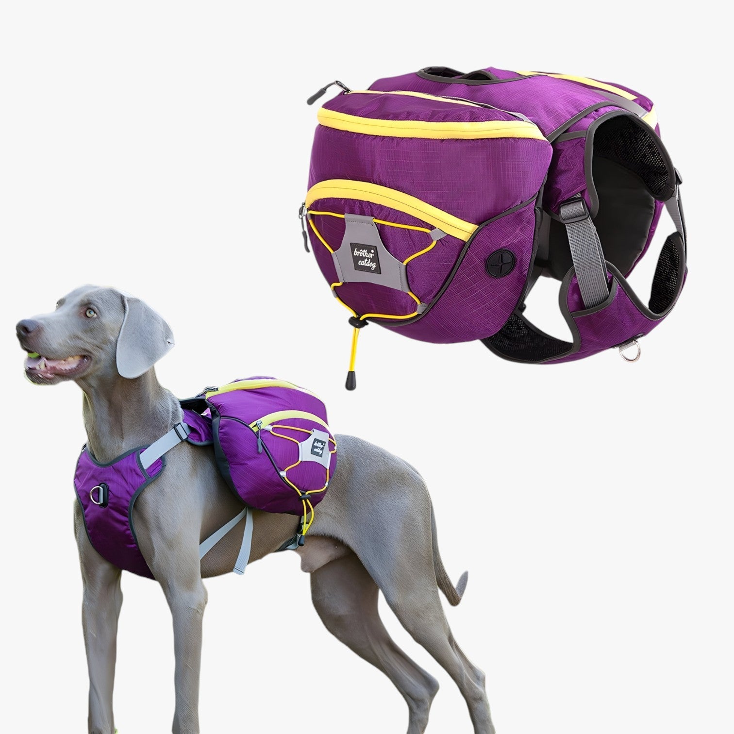 Zaino riflettente per cani Westie con tasche rimovibili Uomo - - cani dog DOG SUPPLIES pet pet accessories PET SUPPLIES pets & supplies riflettente rimovibili tasche uomo westie zaino - Concept Palermo