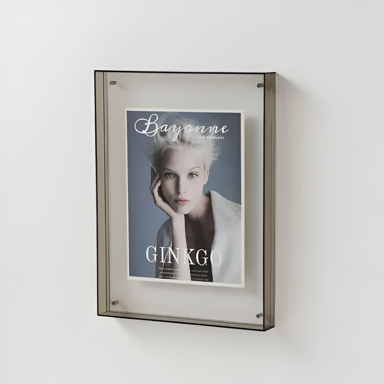 Pinza foto in acrilico trasparente – Design moderno e minimalista