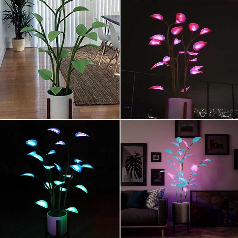 Pianta LED Magica™ - - all home Home & Garden magica new_for_google pianta pianta magica - Concept Palermo