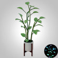 Planta LED Mágica™