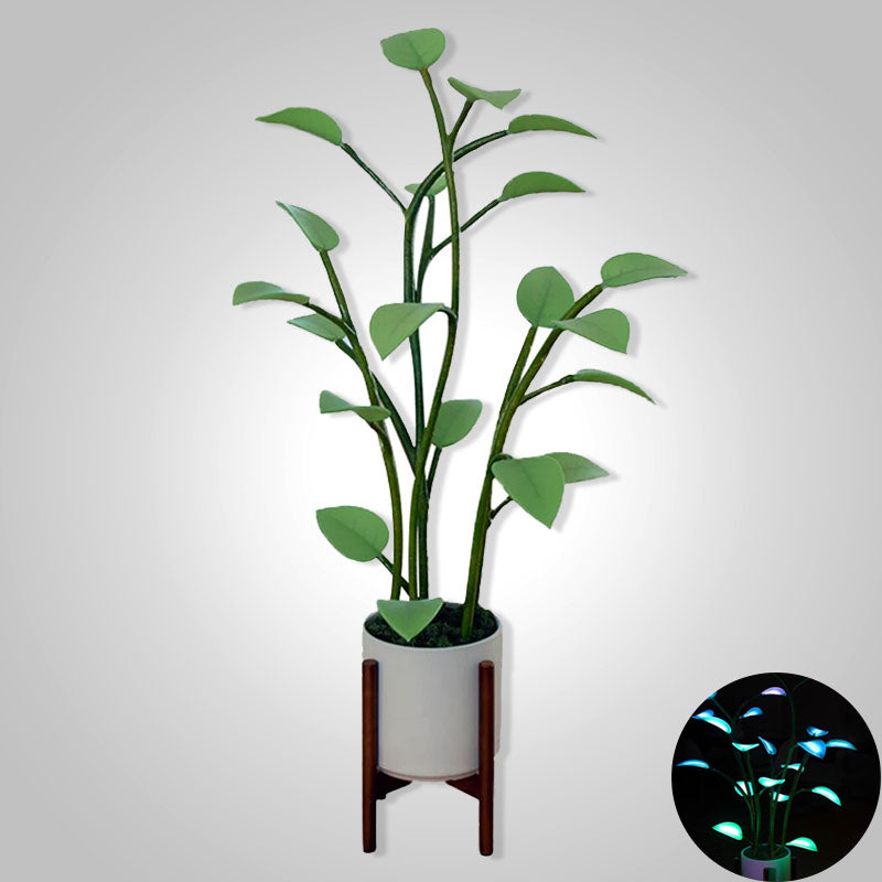 Pianta LED Magica™ - - all home Home & Garden magica new_for_google pianta pianta magica - Concept Palermo