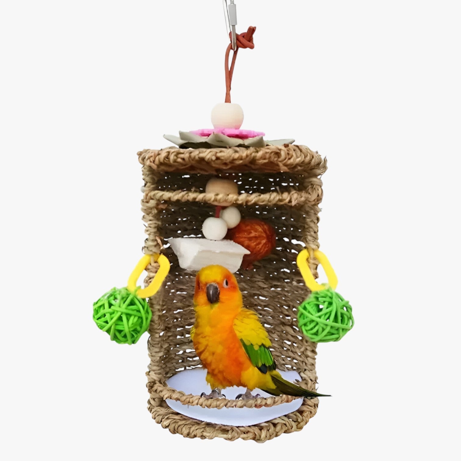 Accogliente rifugio per uccelli – Spazio nido e gioco confortevole - A - accogliente accogliente rifugio bird bird house birdproduct confortevole gioco nido pets & supplies rifugio spazio - Concept Palermo