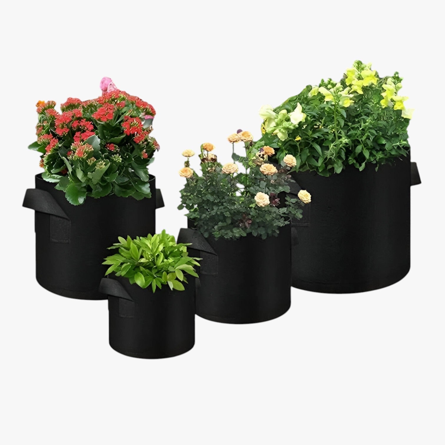 Sacco di coltivazione salvaspazio – Piante sane, facili da coltivare - - coltivare coltivazione facili Garden Garden supplies Home & Garden piante sacco sacco coltivazione salvaspazio - Concept Palermo
