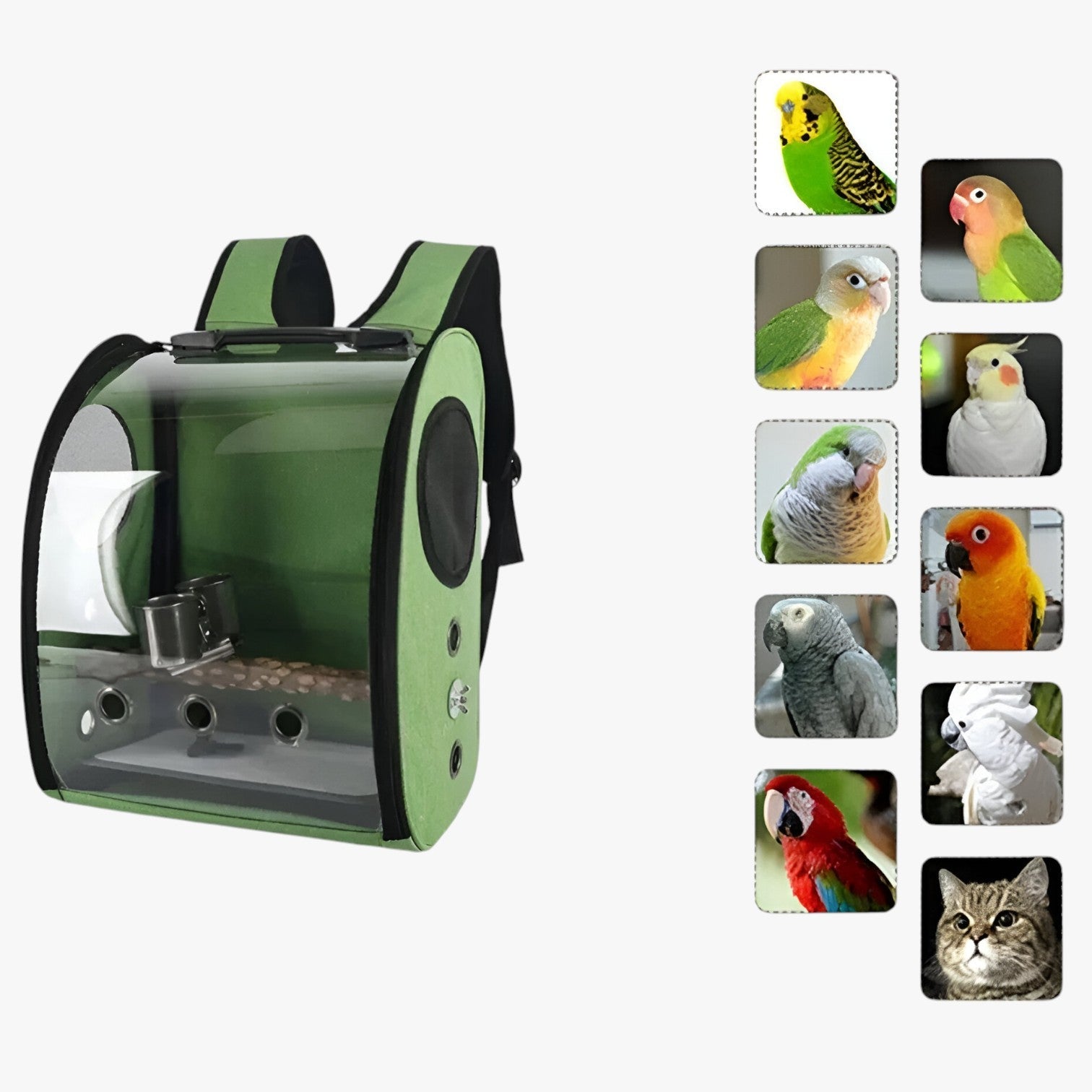 Gabbia per uccelli spaziosa – Viaggio confortevole per il tuo uccello Uomo - - confortevole gabbia gabbia uccelli pet pet accessories PET SUPPLIES pets & supplies spaziosa uccelli uccello uomo - Concept Palermo