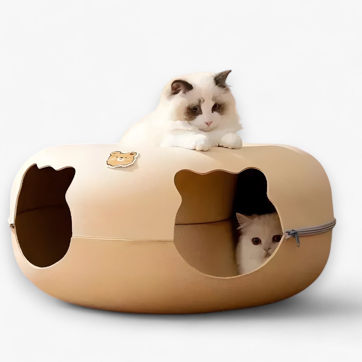Letto per gatti interattivo schiccoso: giocare, rilassarsi e scoprire - - cat gatti giocare interattivo letto letto gatti pet PET SUPPLIES pets & supplies rilassarsi schiccoso - Concept Palermo