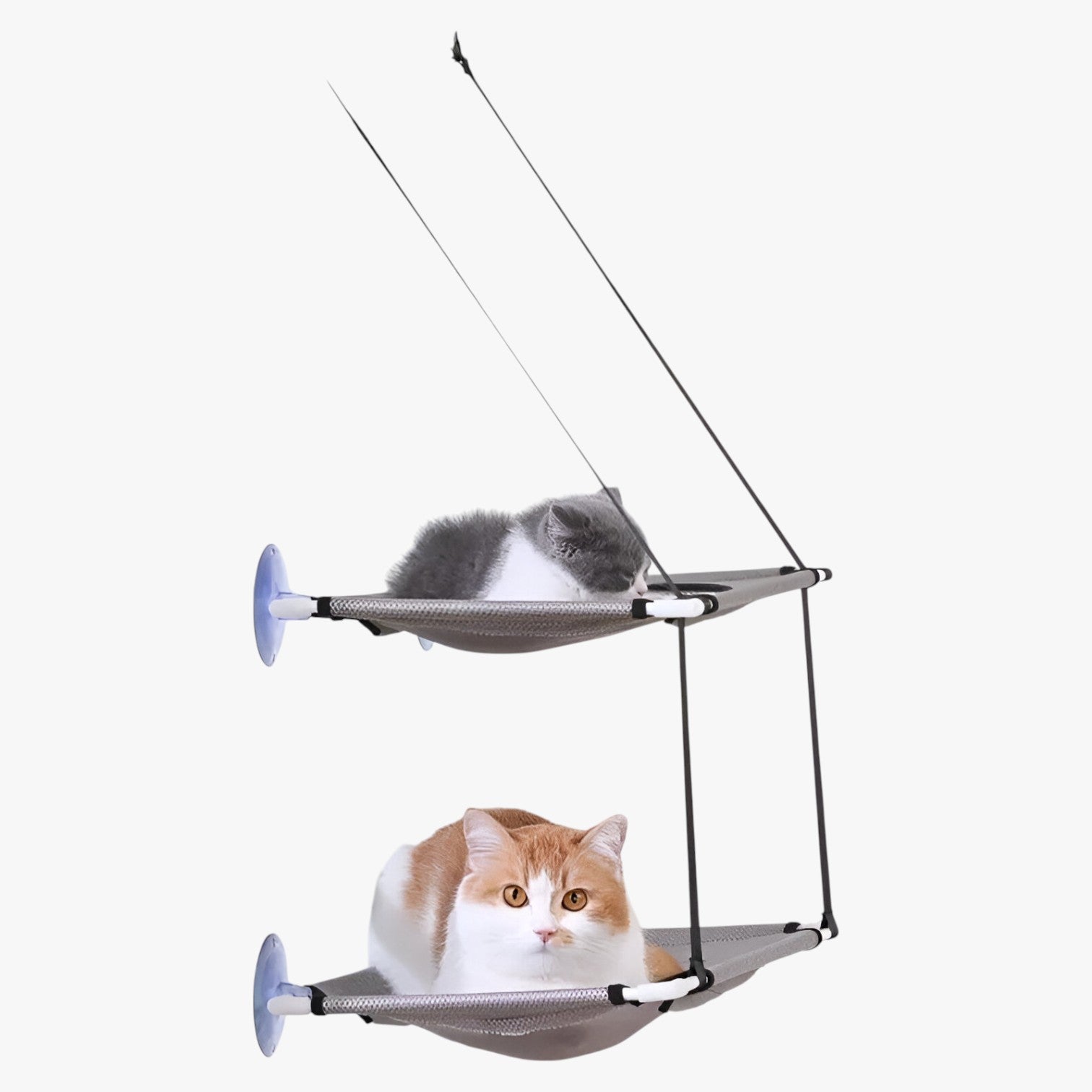Lettiera per gatti Sunny Window - - gatti lettiera lettiera gatti pet PET SUPPLIES petproduct Pets pets & supplies sunny window - Concept Palermo