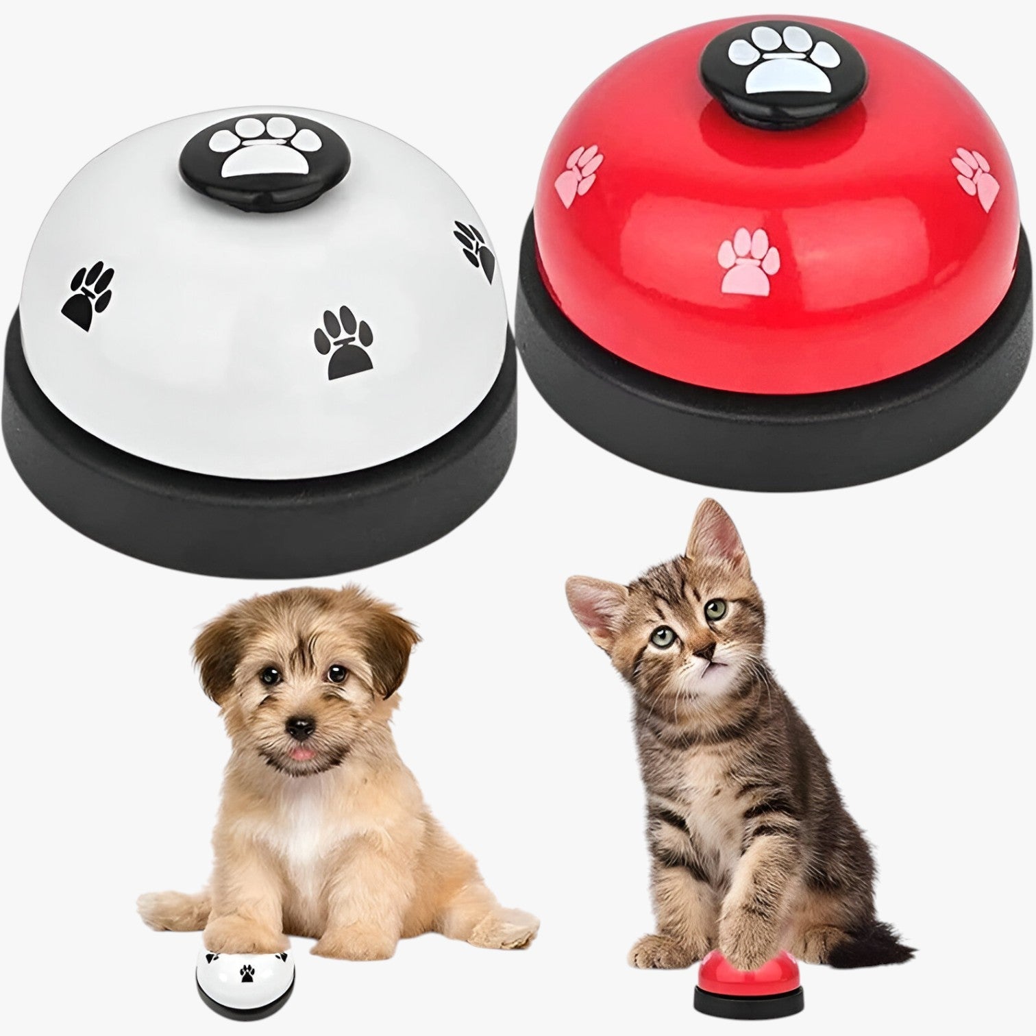 Allenatore per Animali Domestici Promemoria di Ora di Pasti & Divertimento Interattivo - - allenatore allenatore animali animali animali domestici divertimento domestici interattivo pasti pets & supplies - Concept Palermo