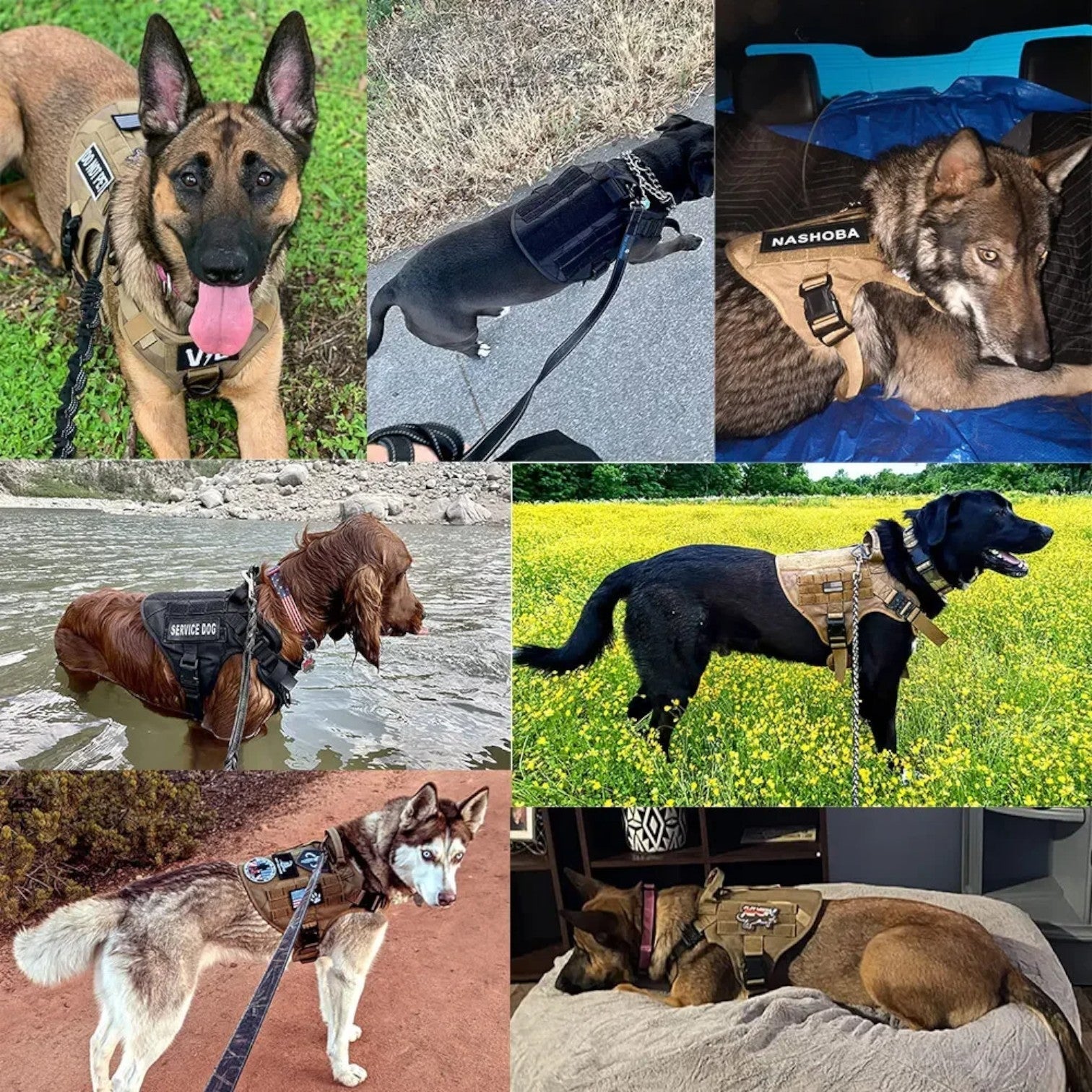 Imbracatura Tattica Militare Nera Regolabile in Nylon per Cani Grandi con Gilet e Maniglia - - addestramento attrezzatura cani confortevole dog DOG SUPPLIES donna imbracatura imbracatura tattica pets & supplies - Concept Palermo